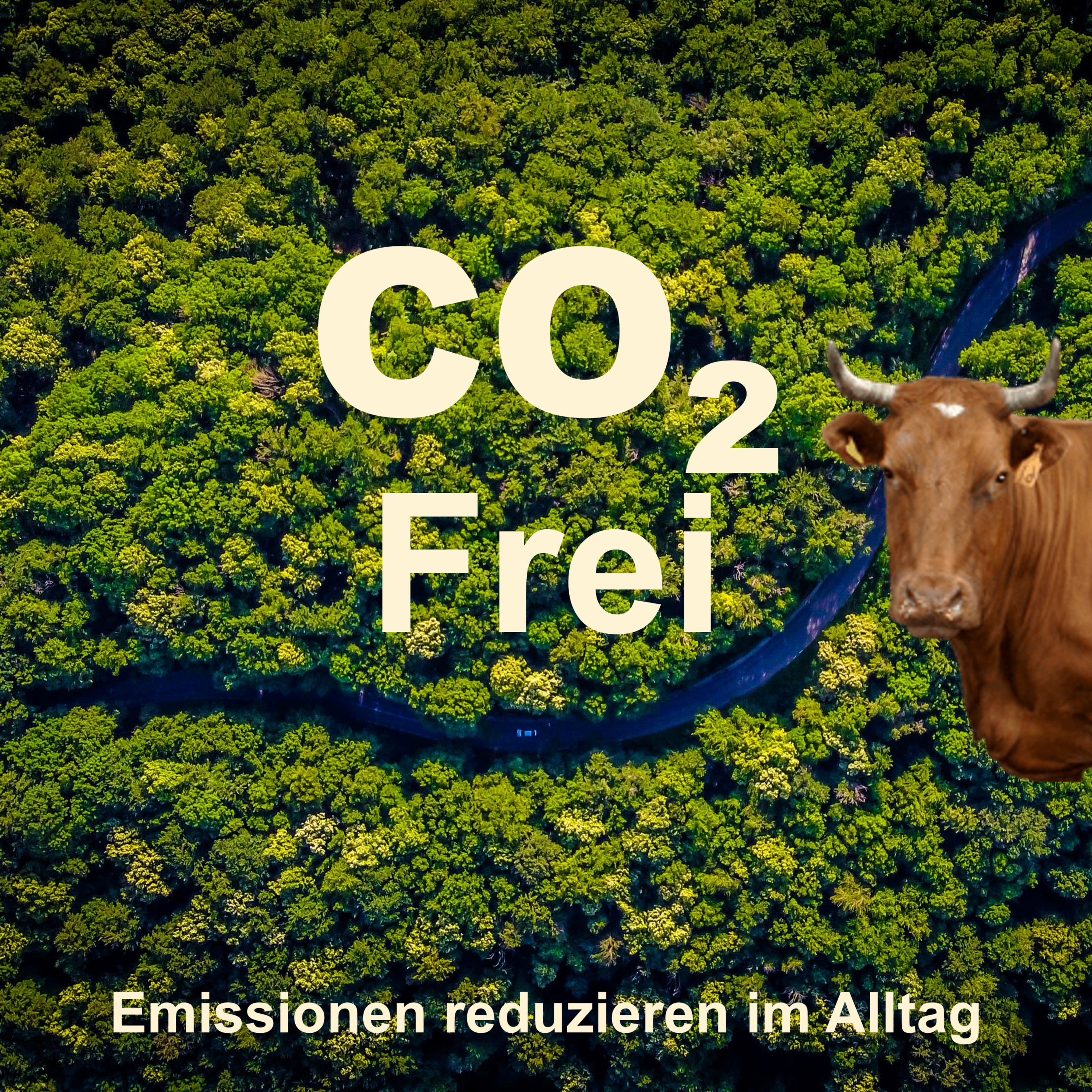 CO2 Frei - Emissionen reduzieren im Alltag