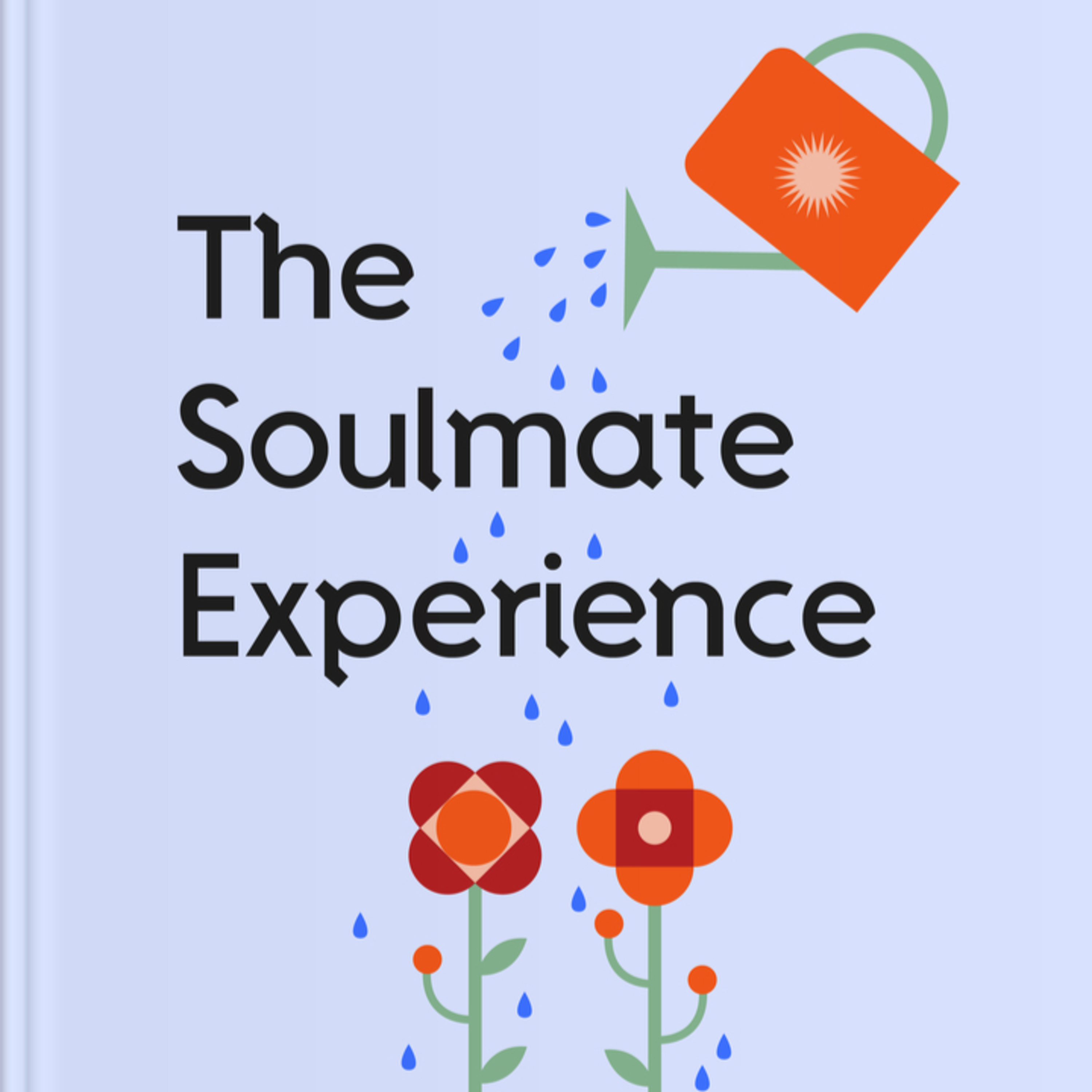 Brief Audio Book