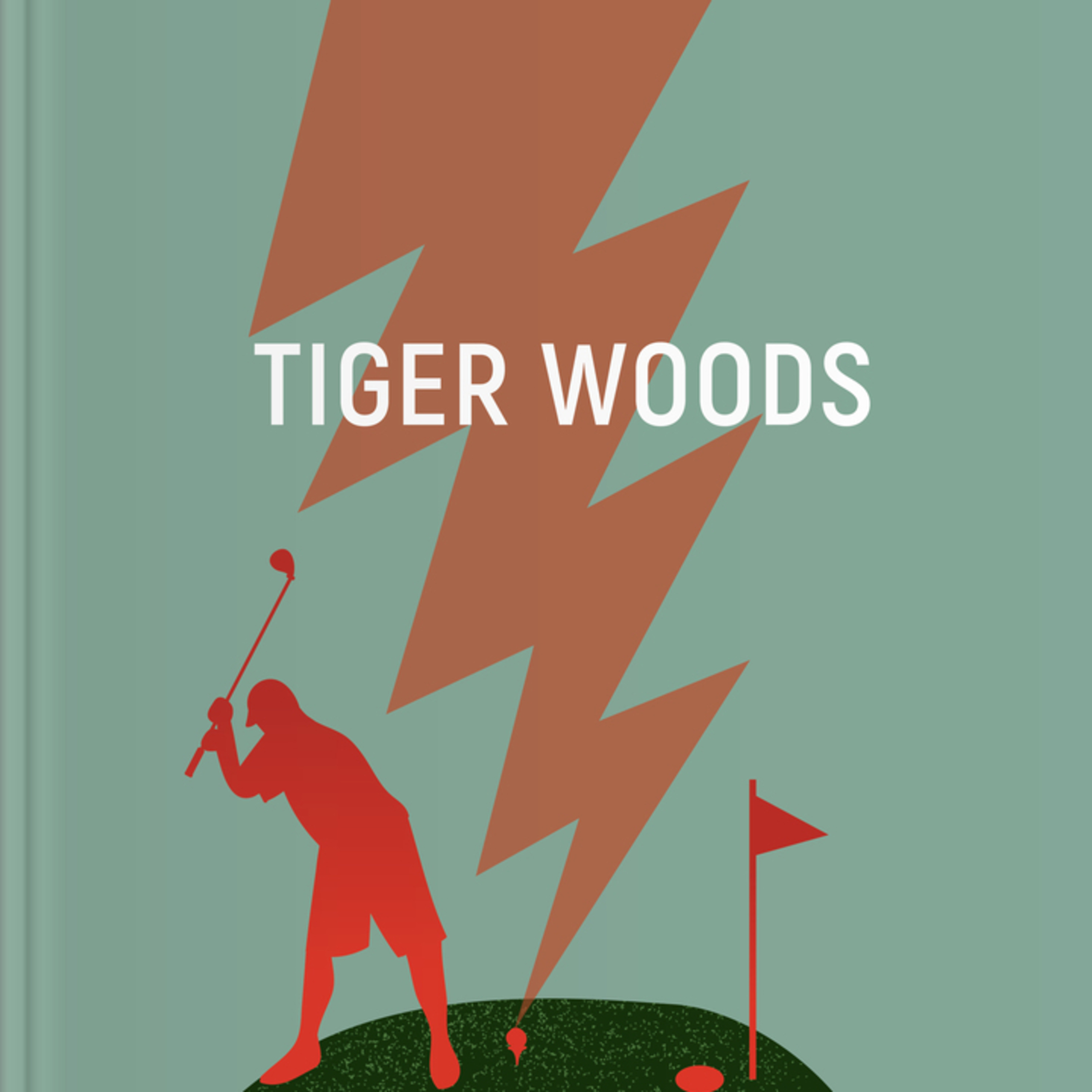 Brief Audio Book
