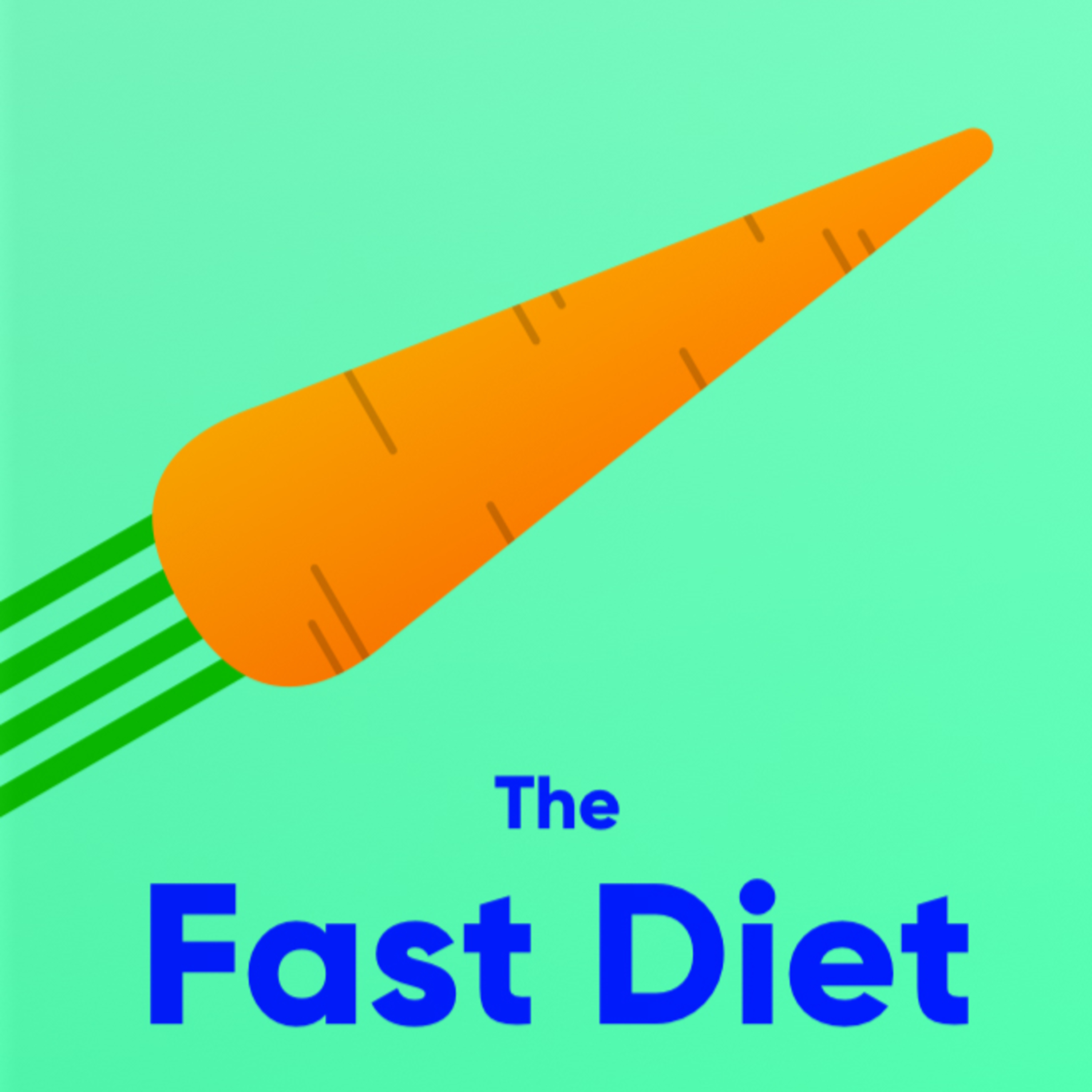 Brief Audio Book