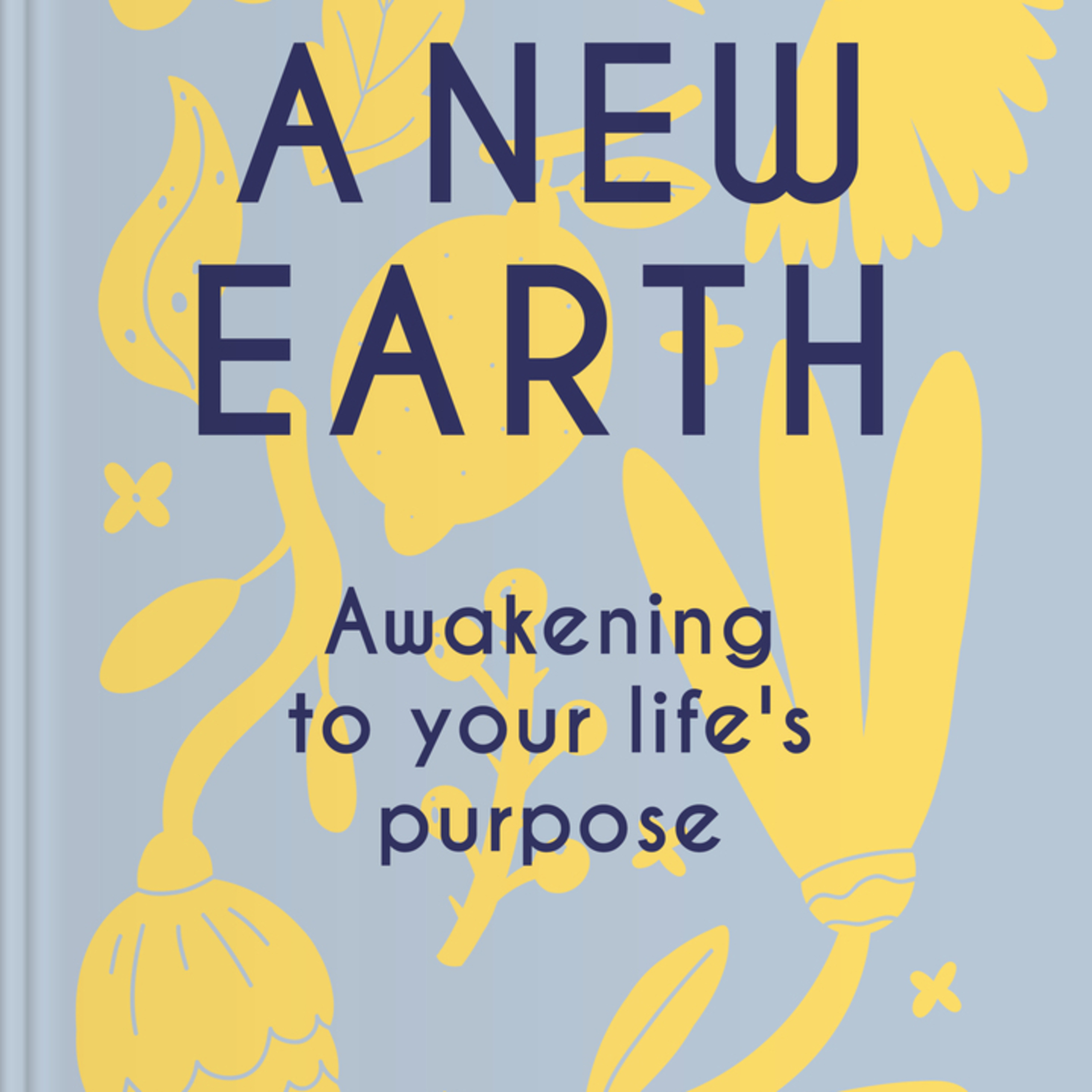Brief Audio Book