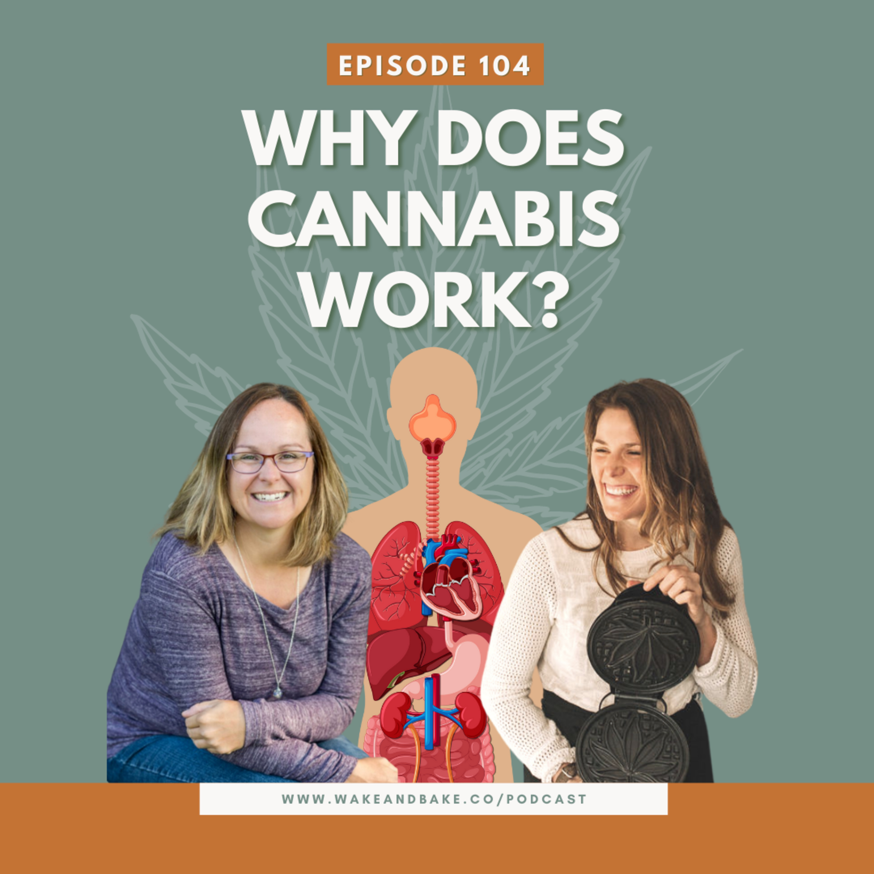 Ep 104 - Why Does Cannabis Work (and how does it work for so many things)?