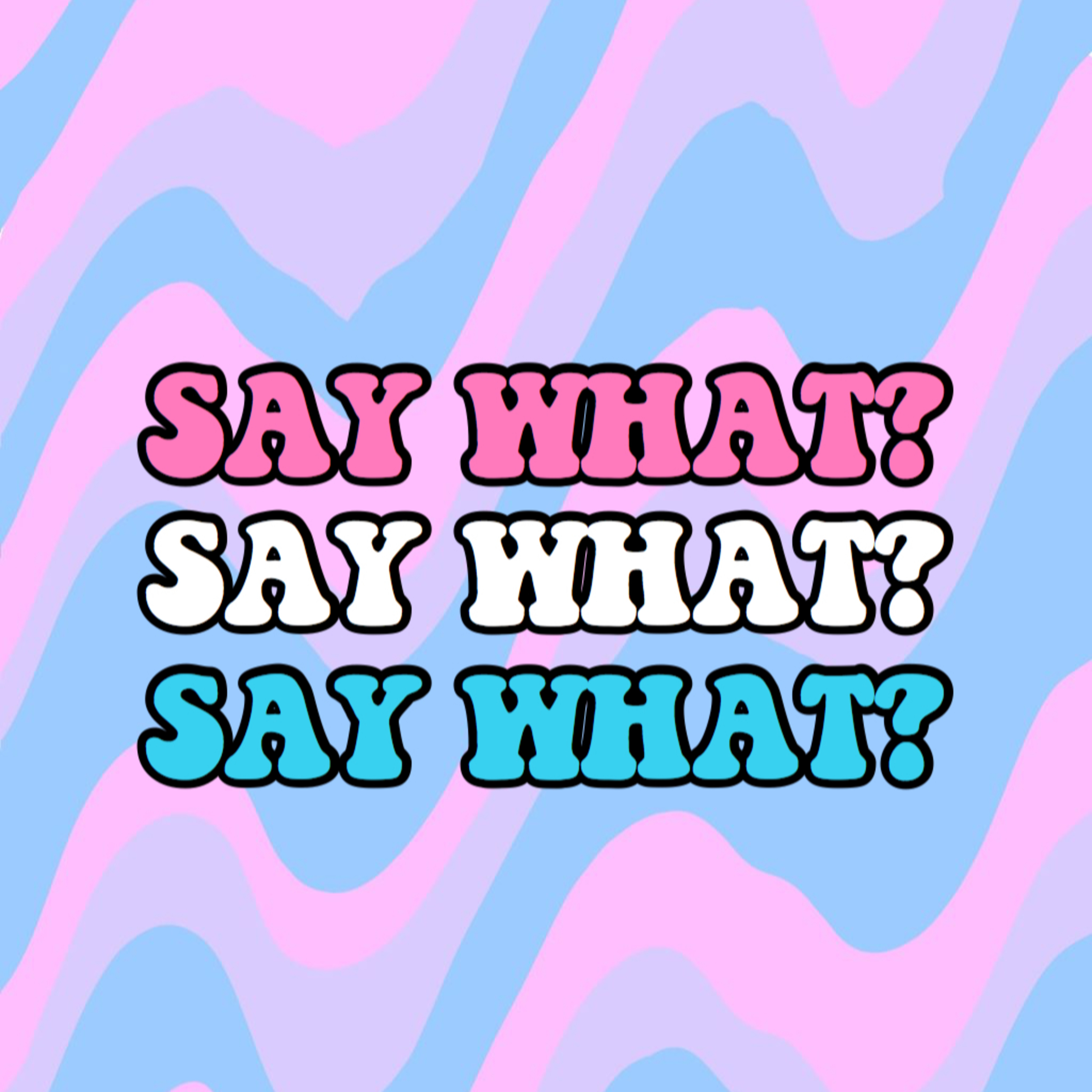SAY WHAT: Presidential Election Edition episode artwork