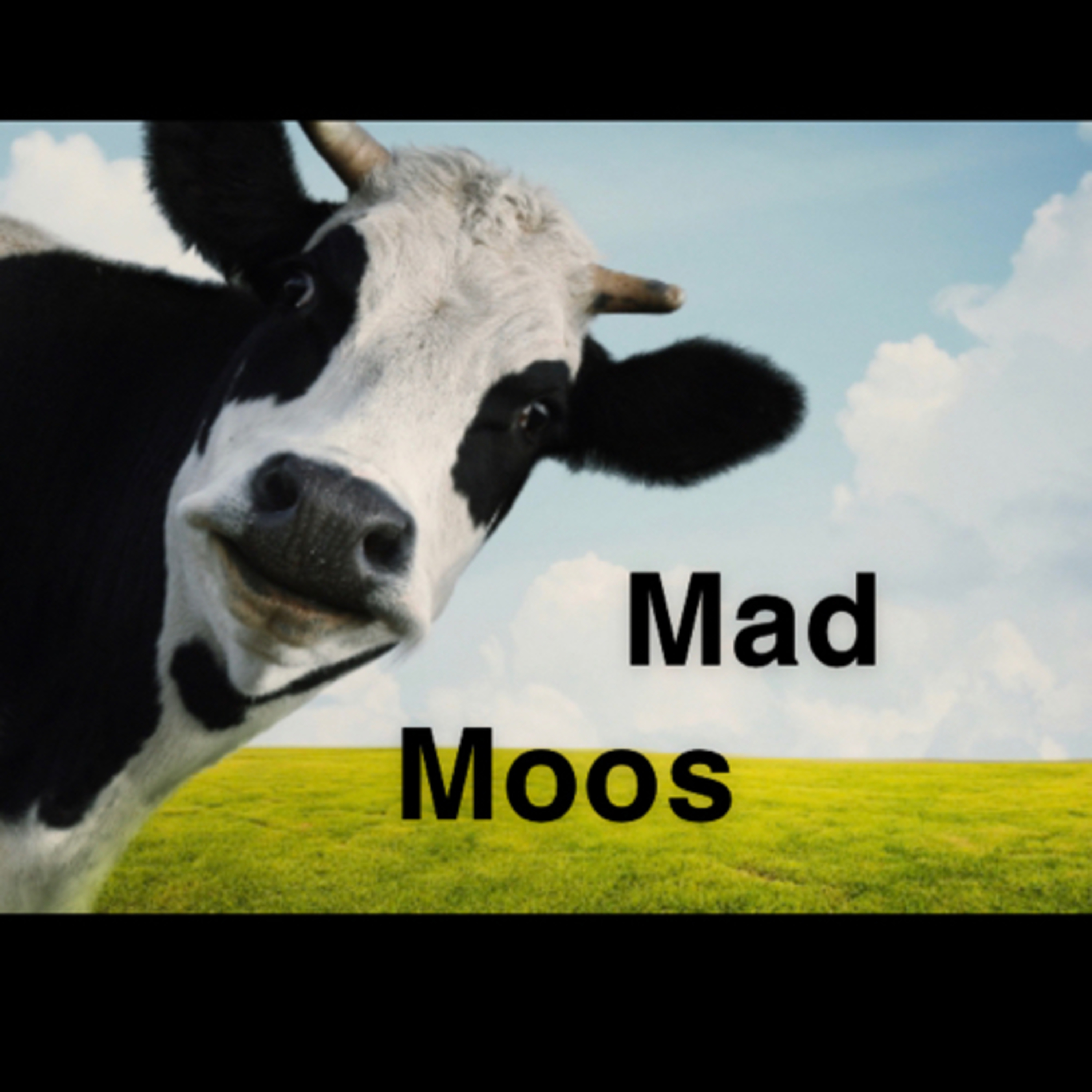 Mad Moos: Season 1, Episode 1: Declan O’Conner