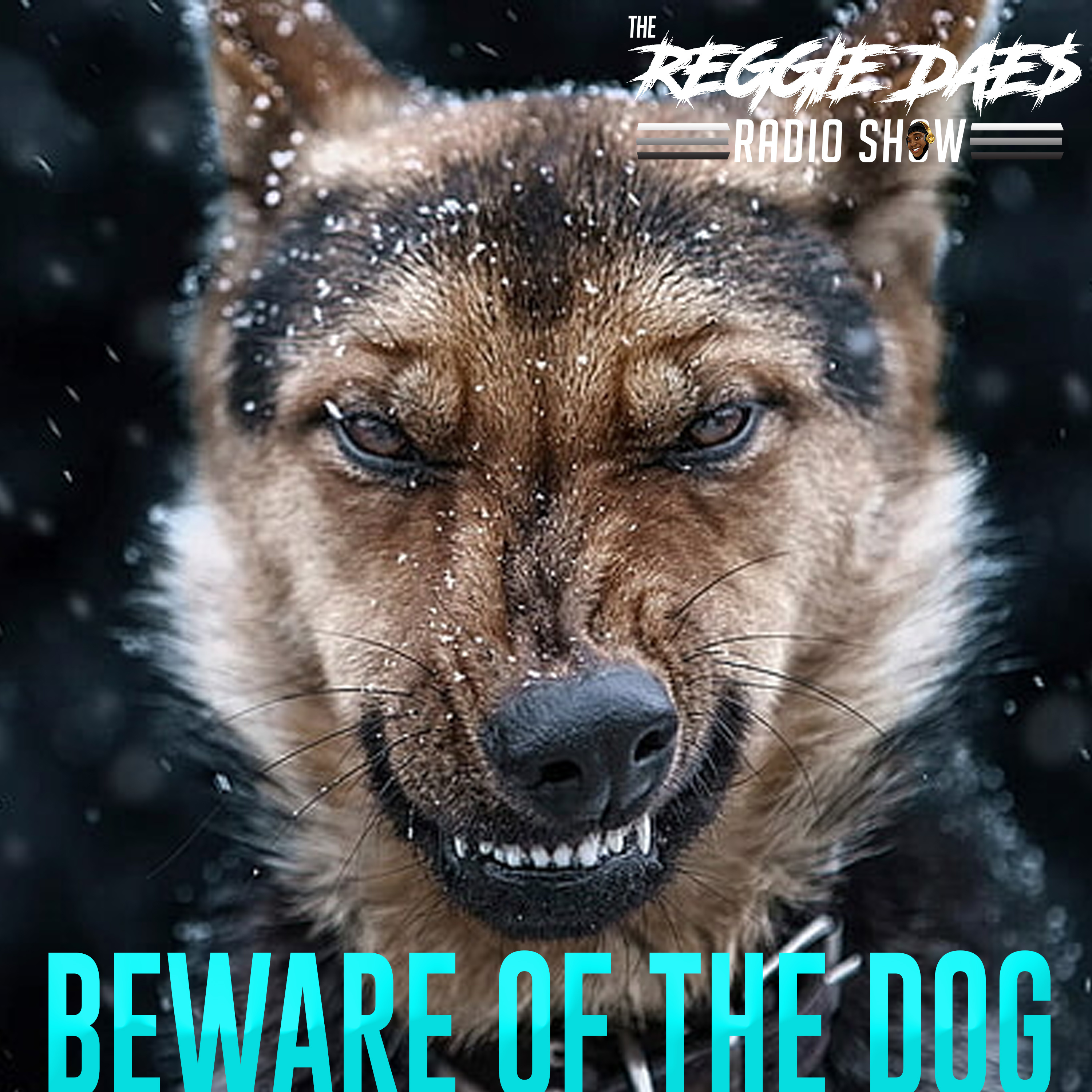 Reggie Daes Radio