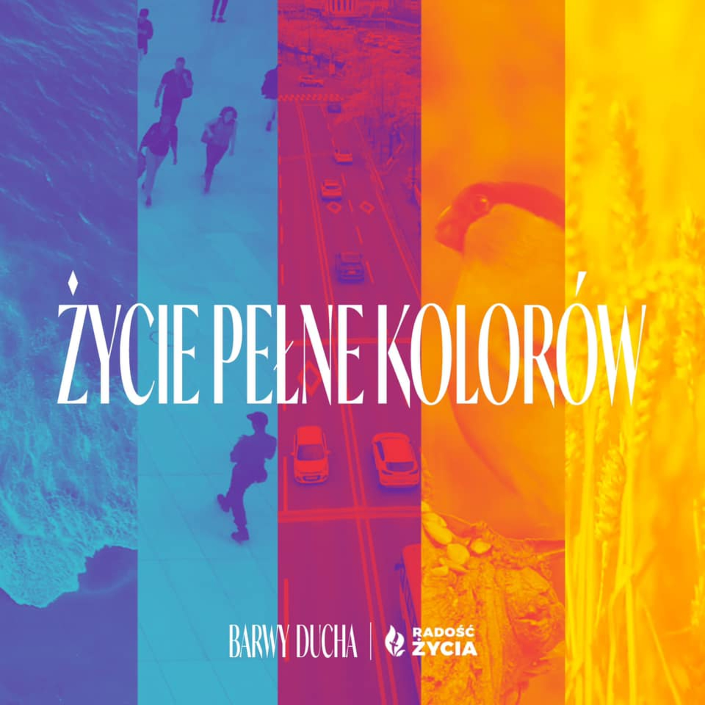 Radość Podcast