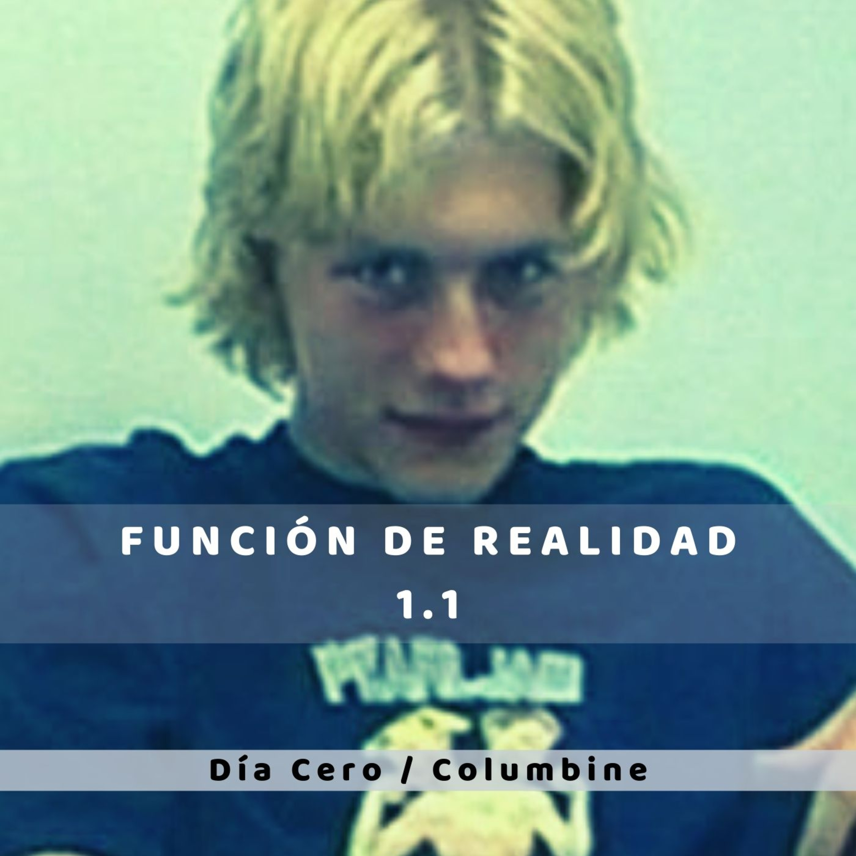 Función de Realidad