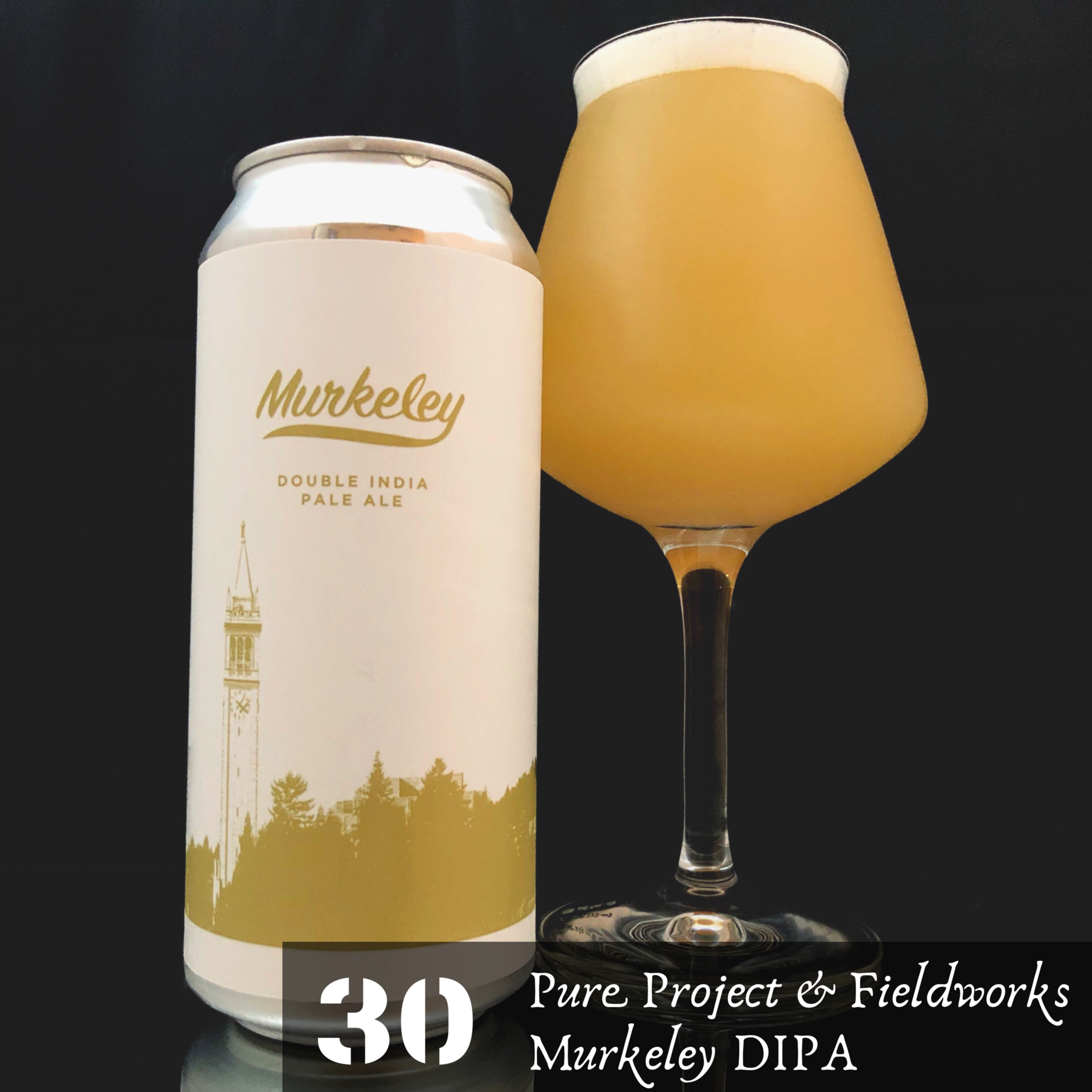 Episode 30: Pure Project Brewing & Fieldwork Brewing’s Murkeley