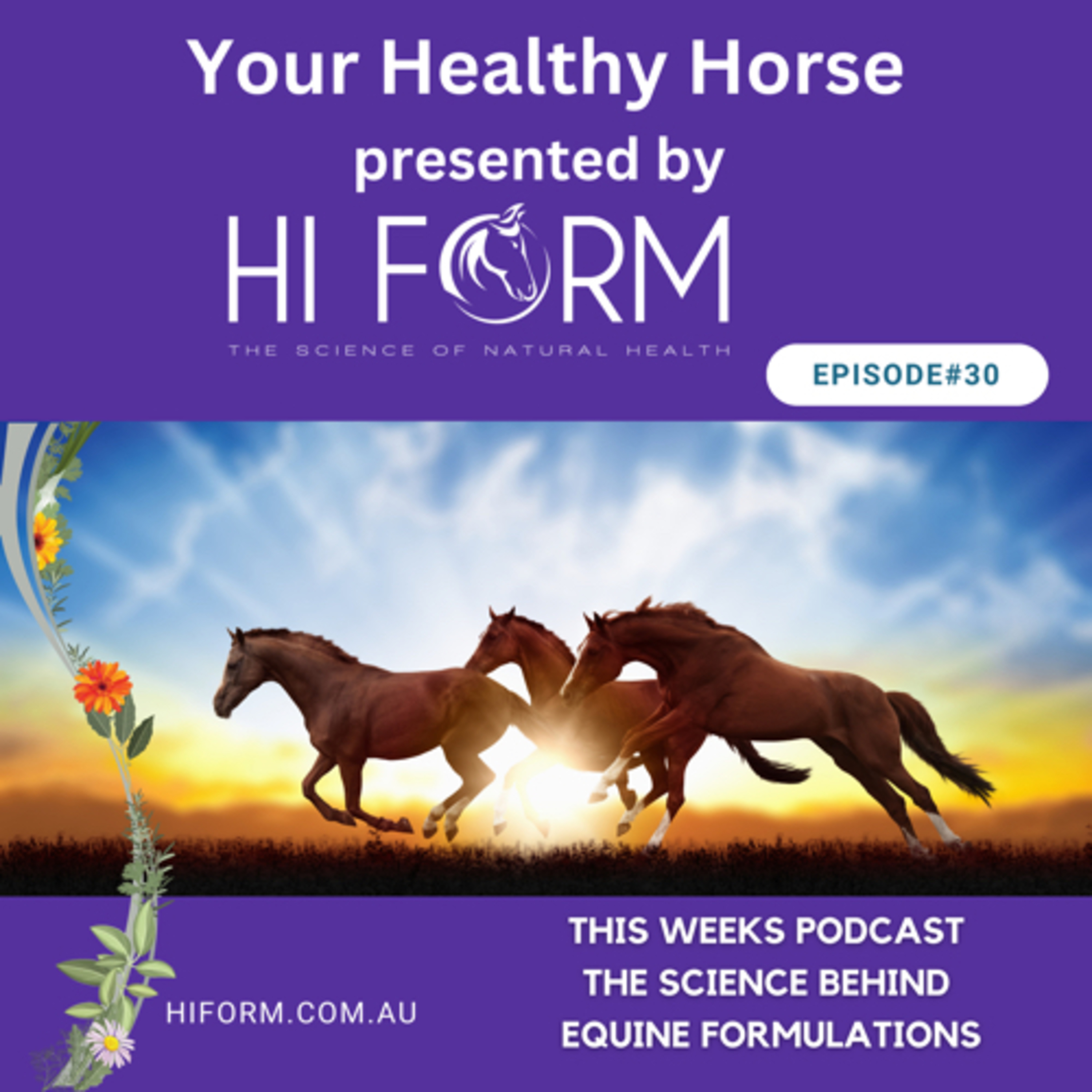 #30 The Science Behind Equine Formations episode artwork