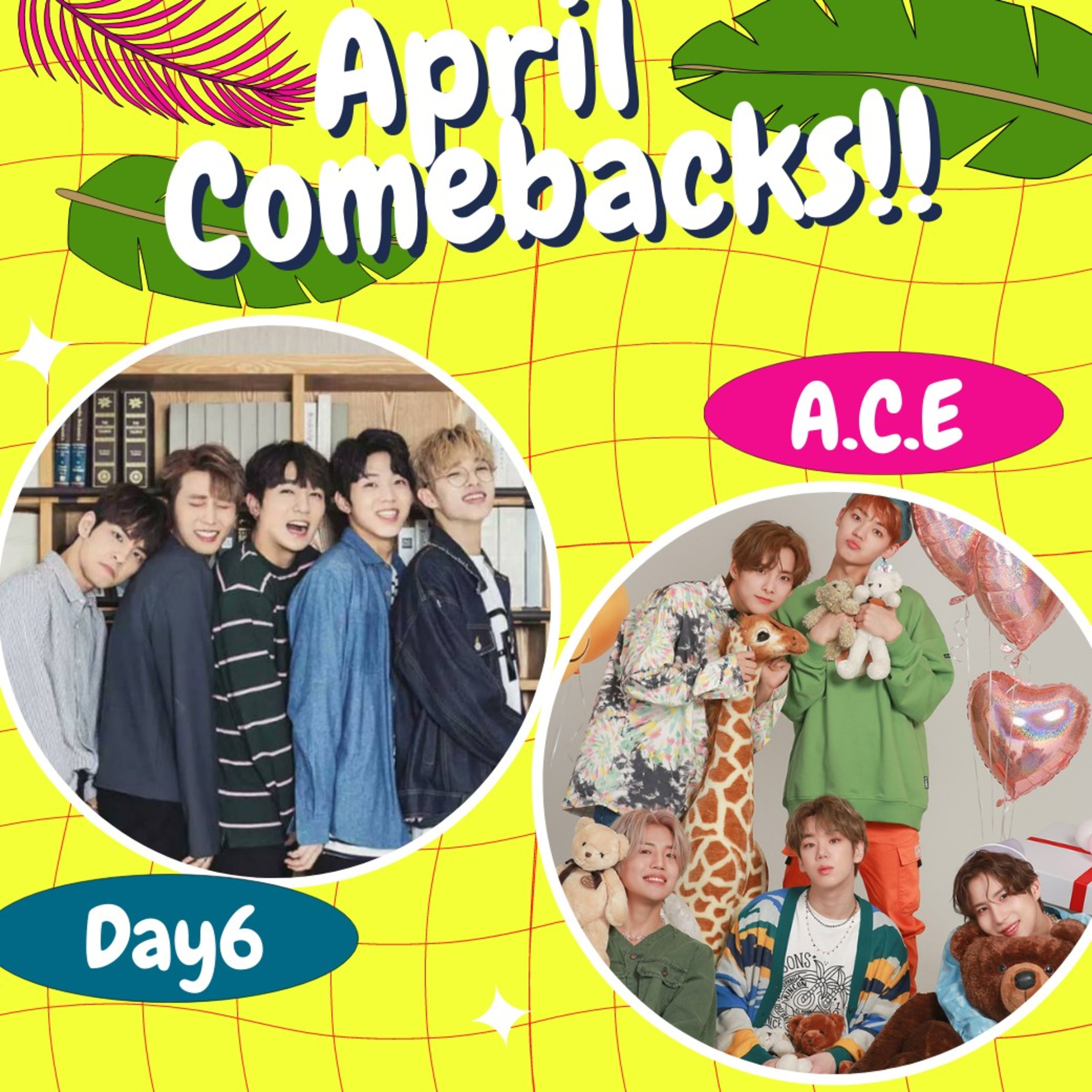 What in the Kpop?!?!