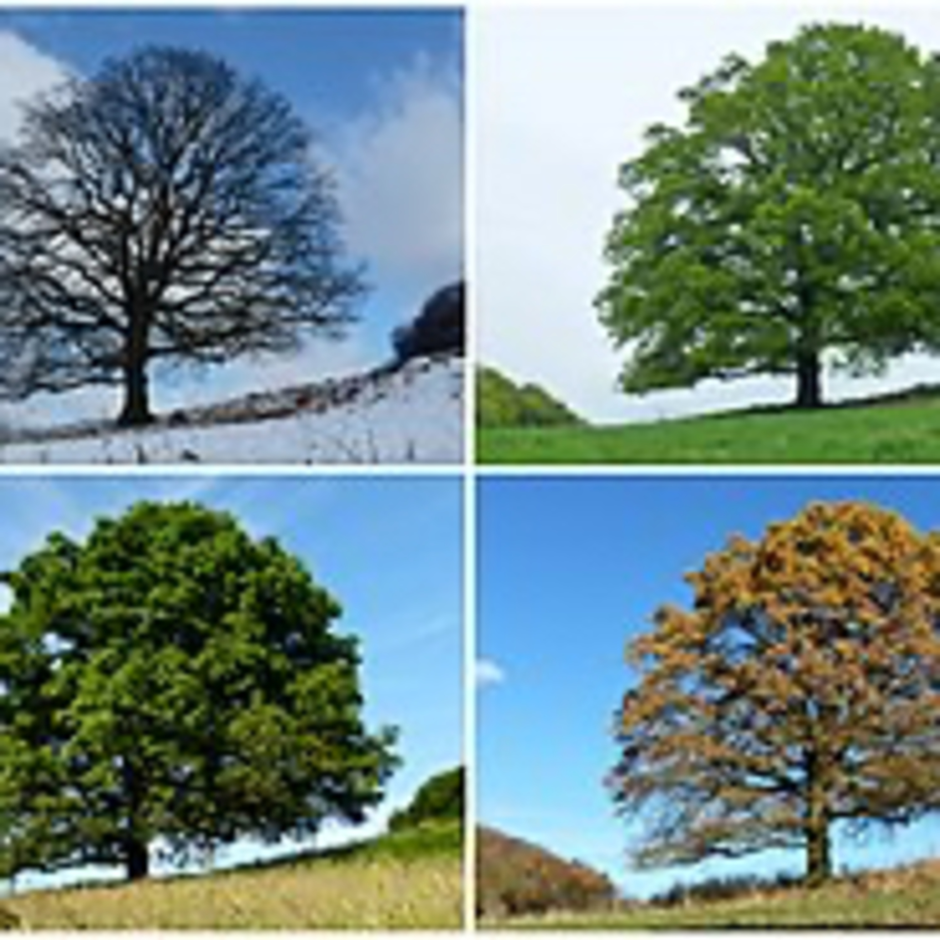 Seasons In Ministry episode artwork