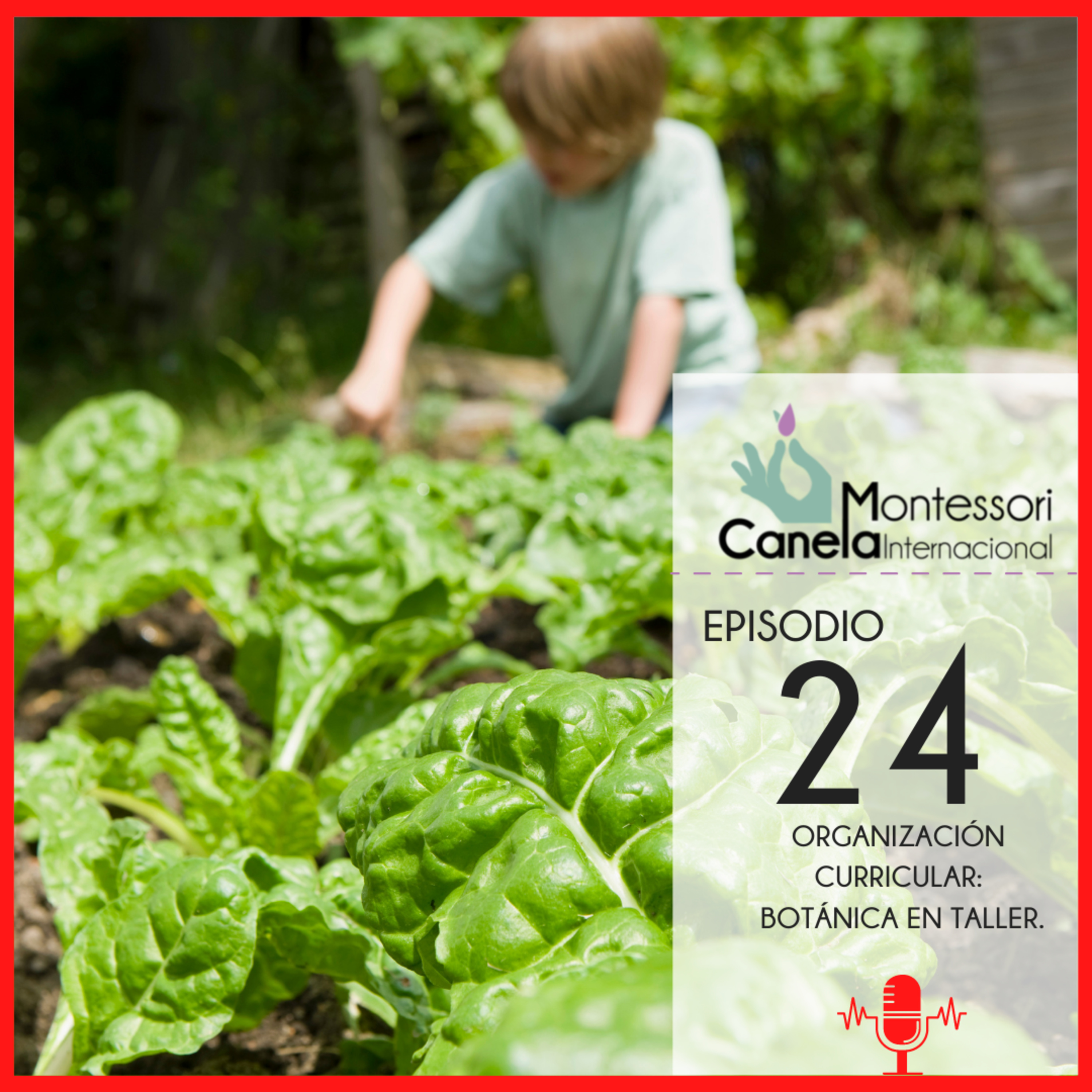 Montessori Social by Bet Lillo Orellana