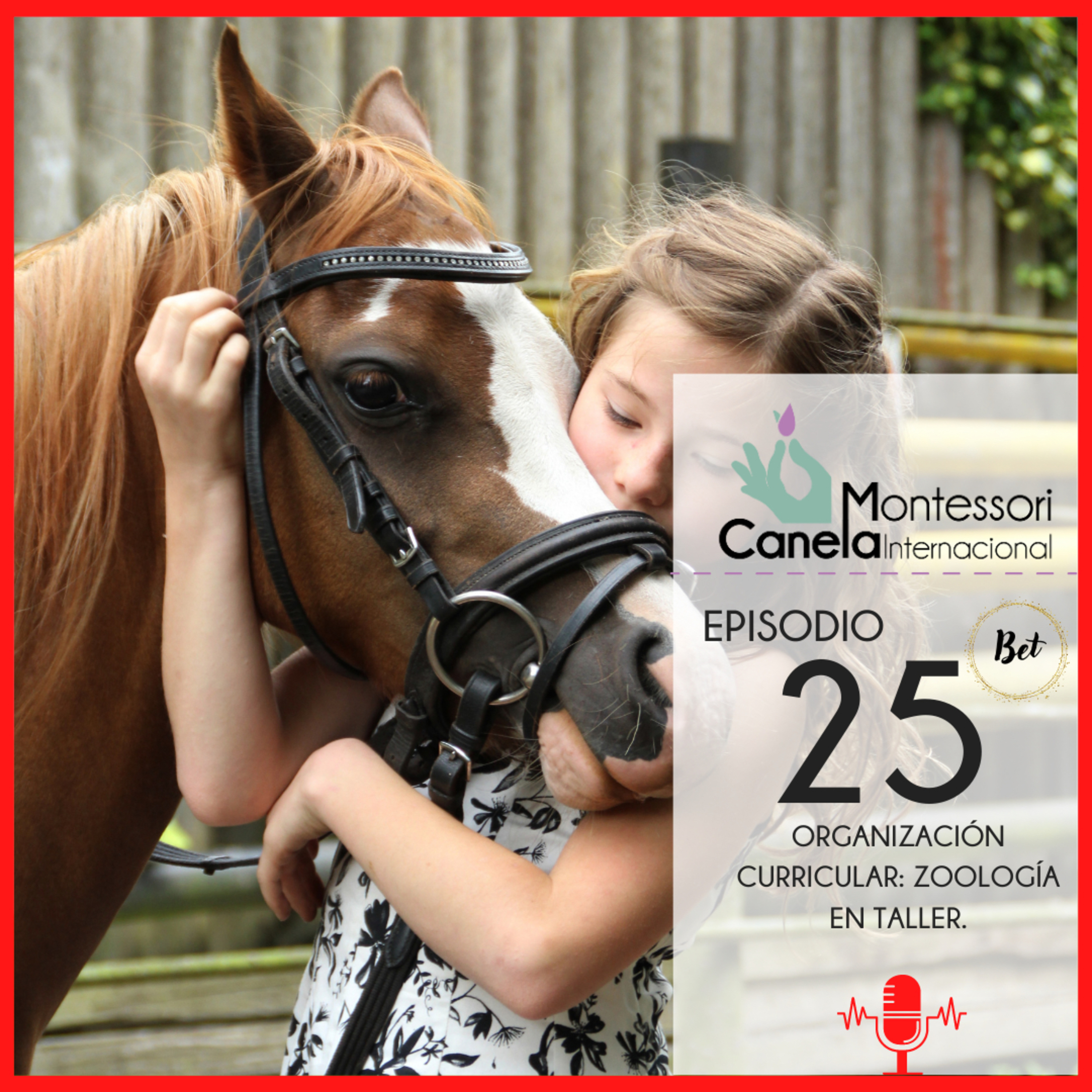 Montessori Social by Bet Lillo Orellana