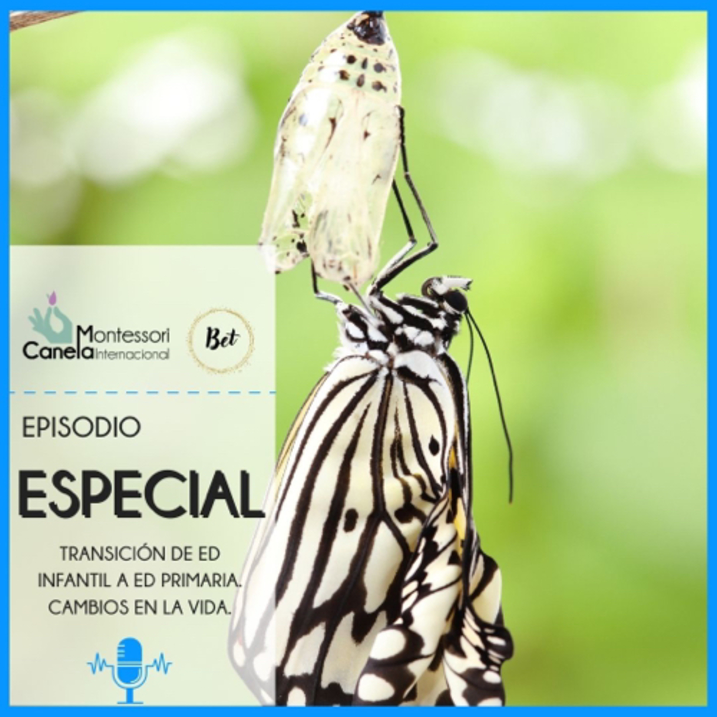 Montessori Social by Bet Lillo Orellana