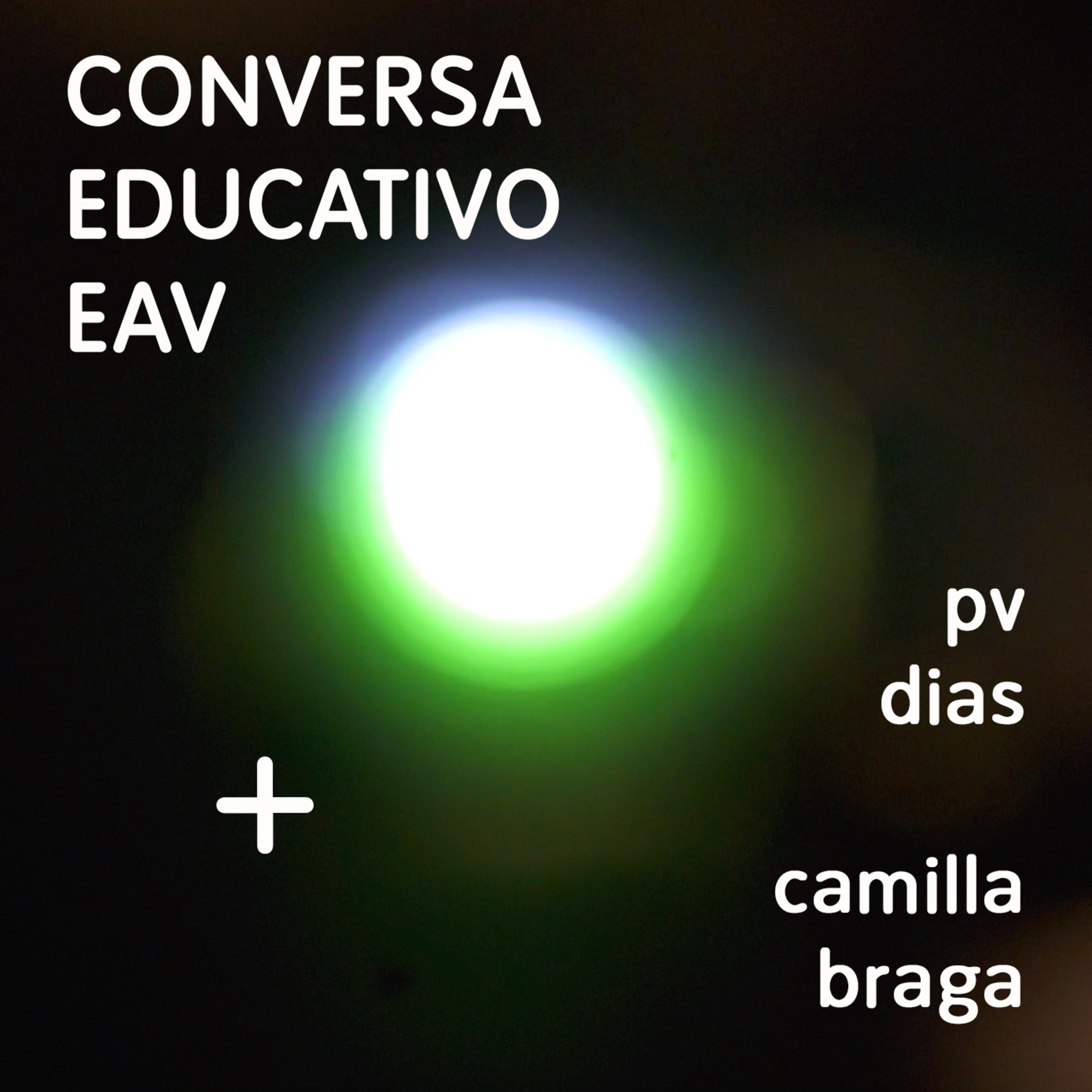Educativo EAV Parque Lage