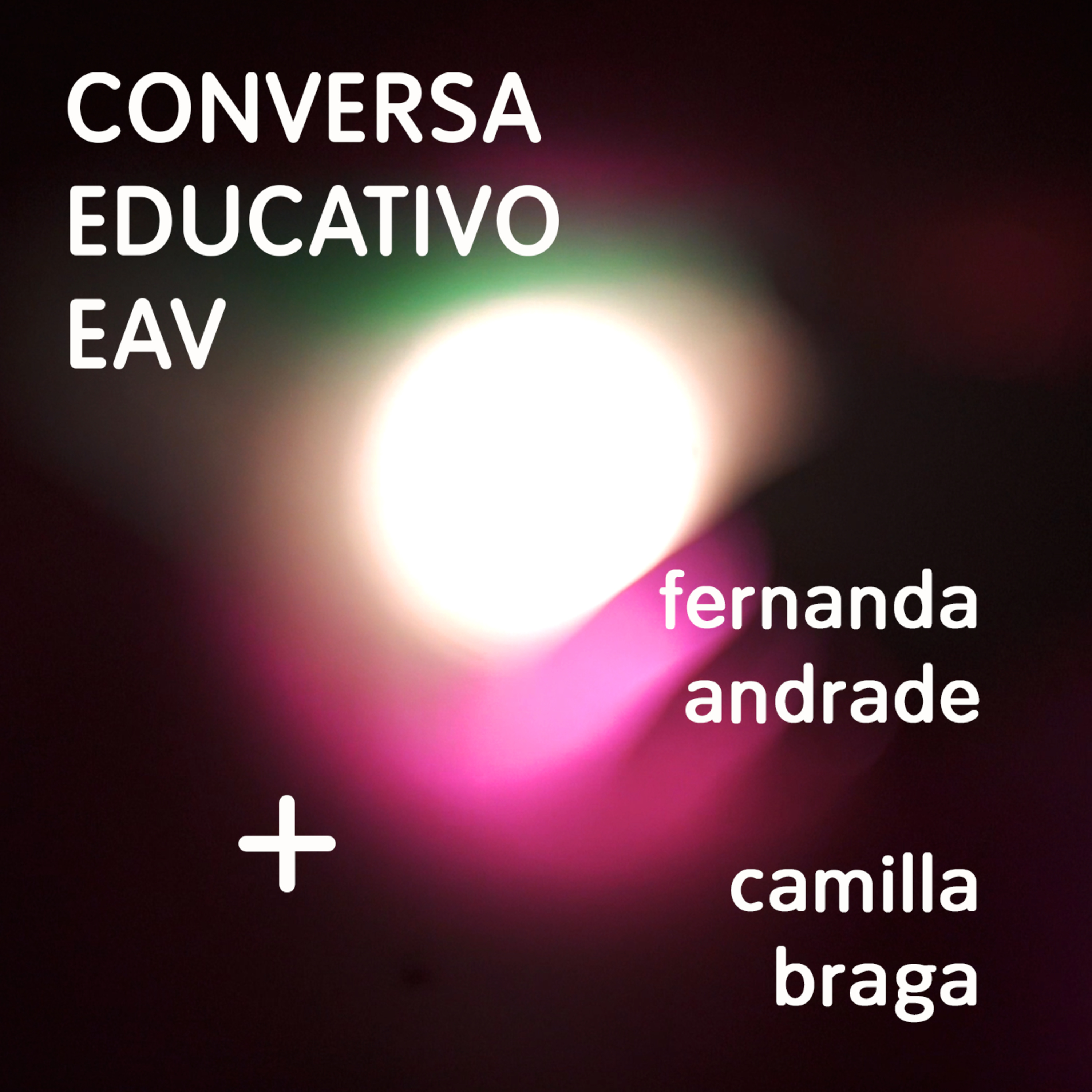 Educativo EAV Parque Lage