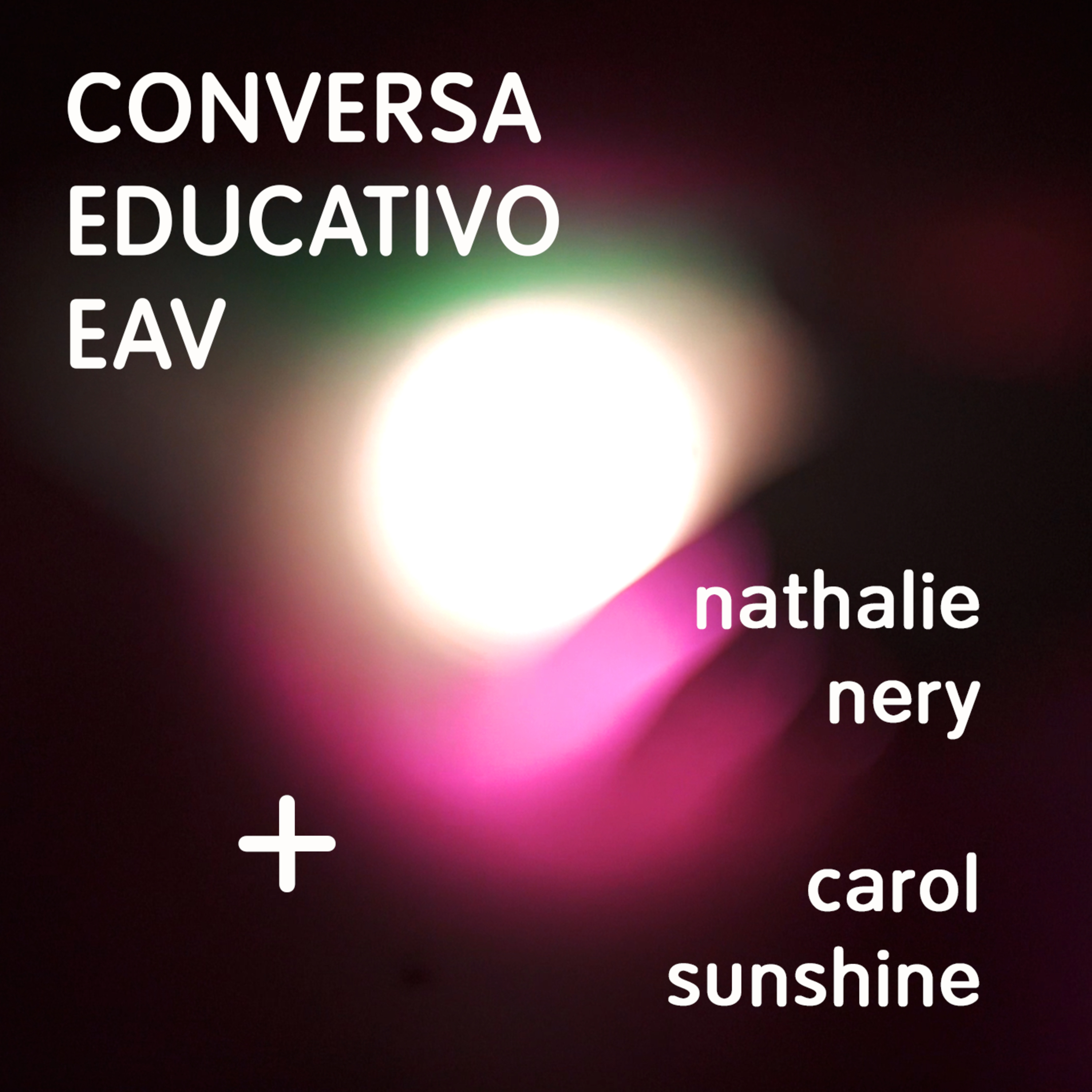 Educativo EAV Parque Lage
