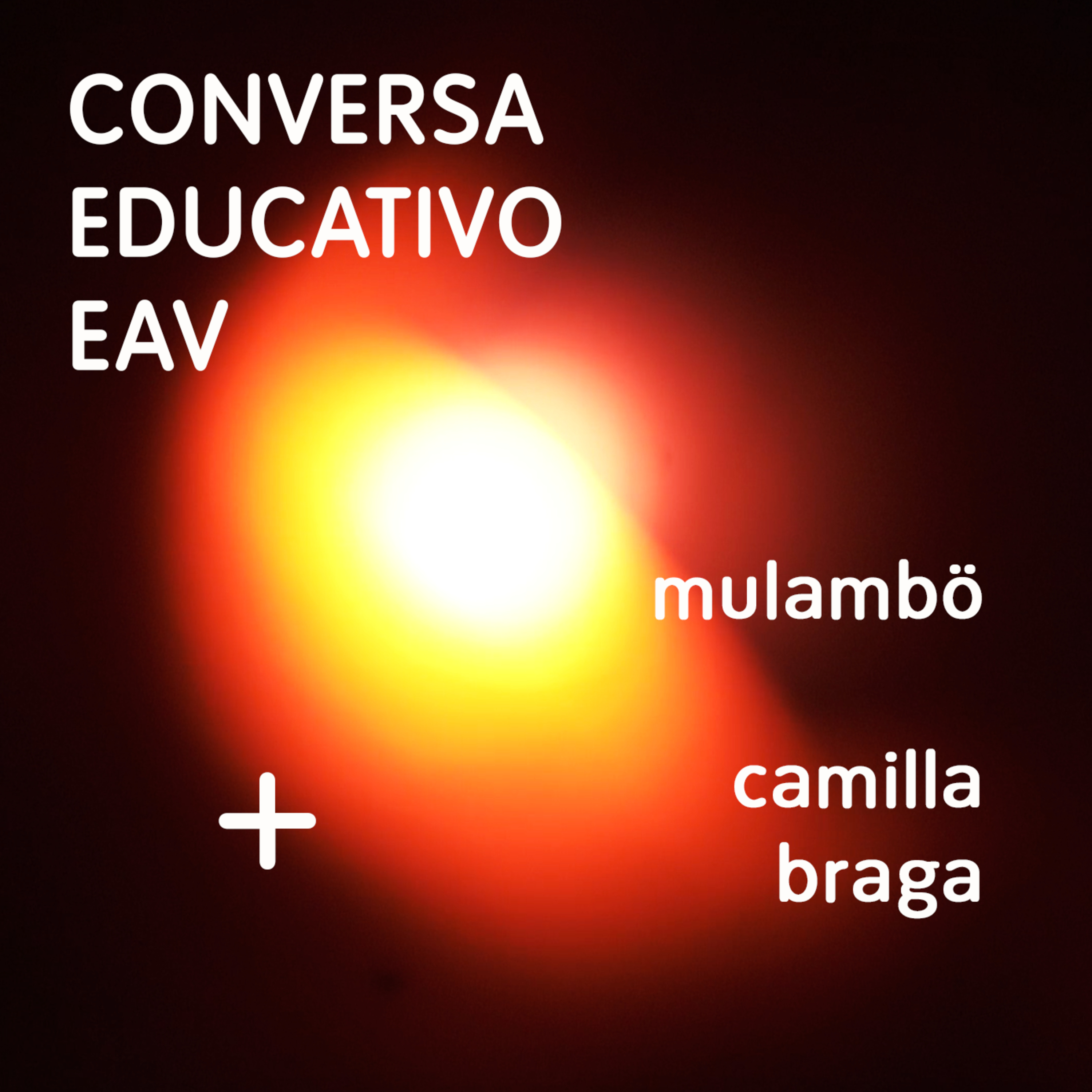 Educativo EAV Parque Lage