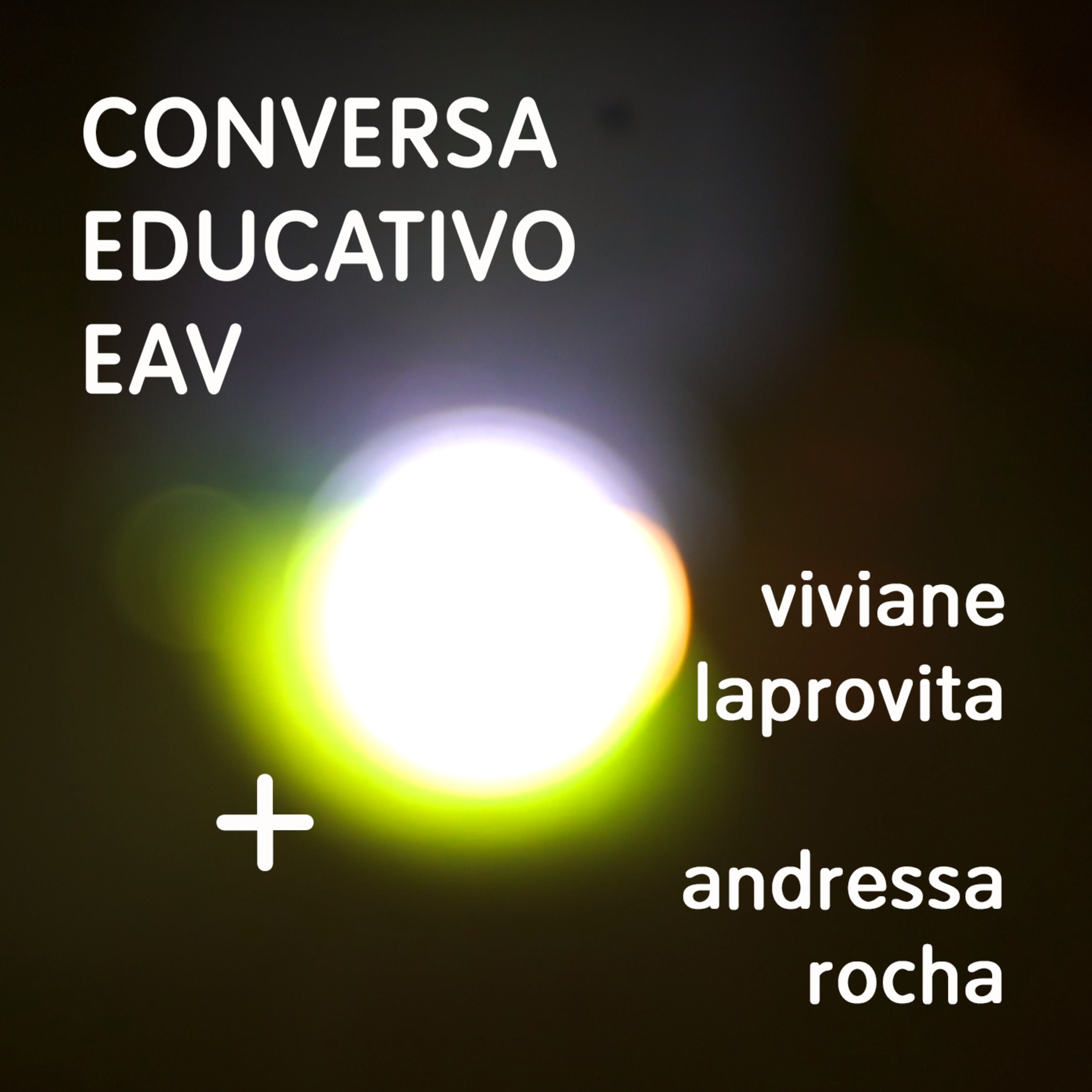 Educativo EAV Parque Lage