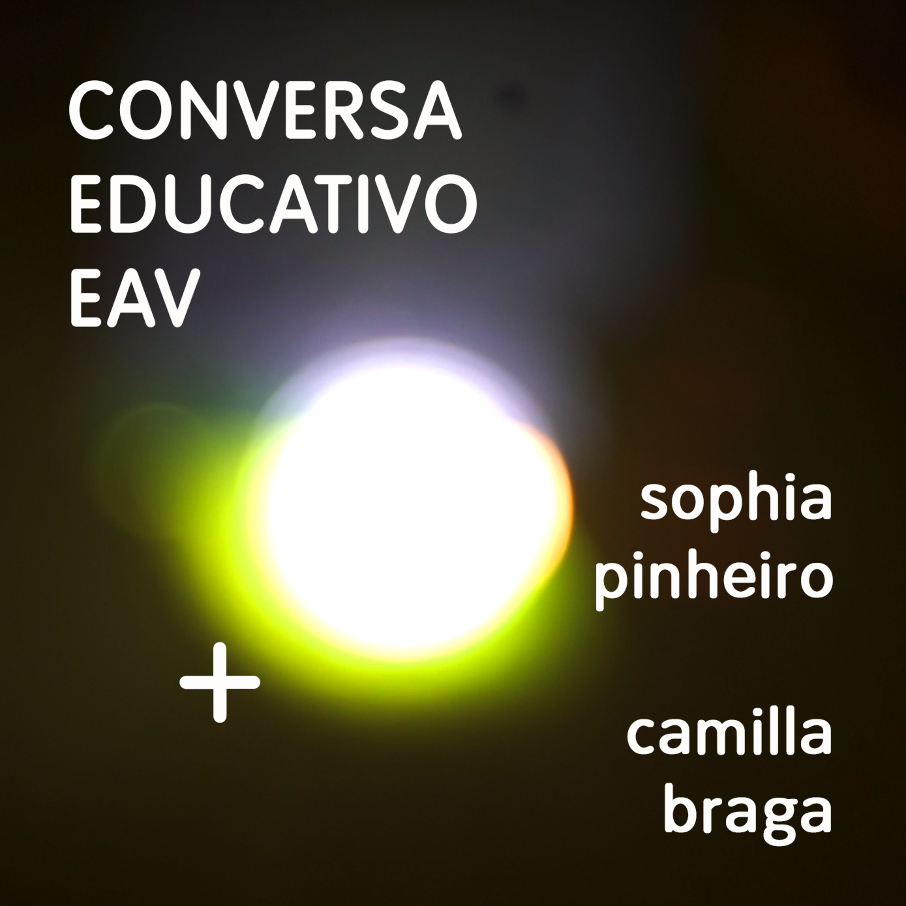 Educativo EAV Parque Lage