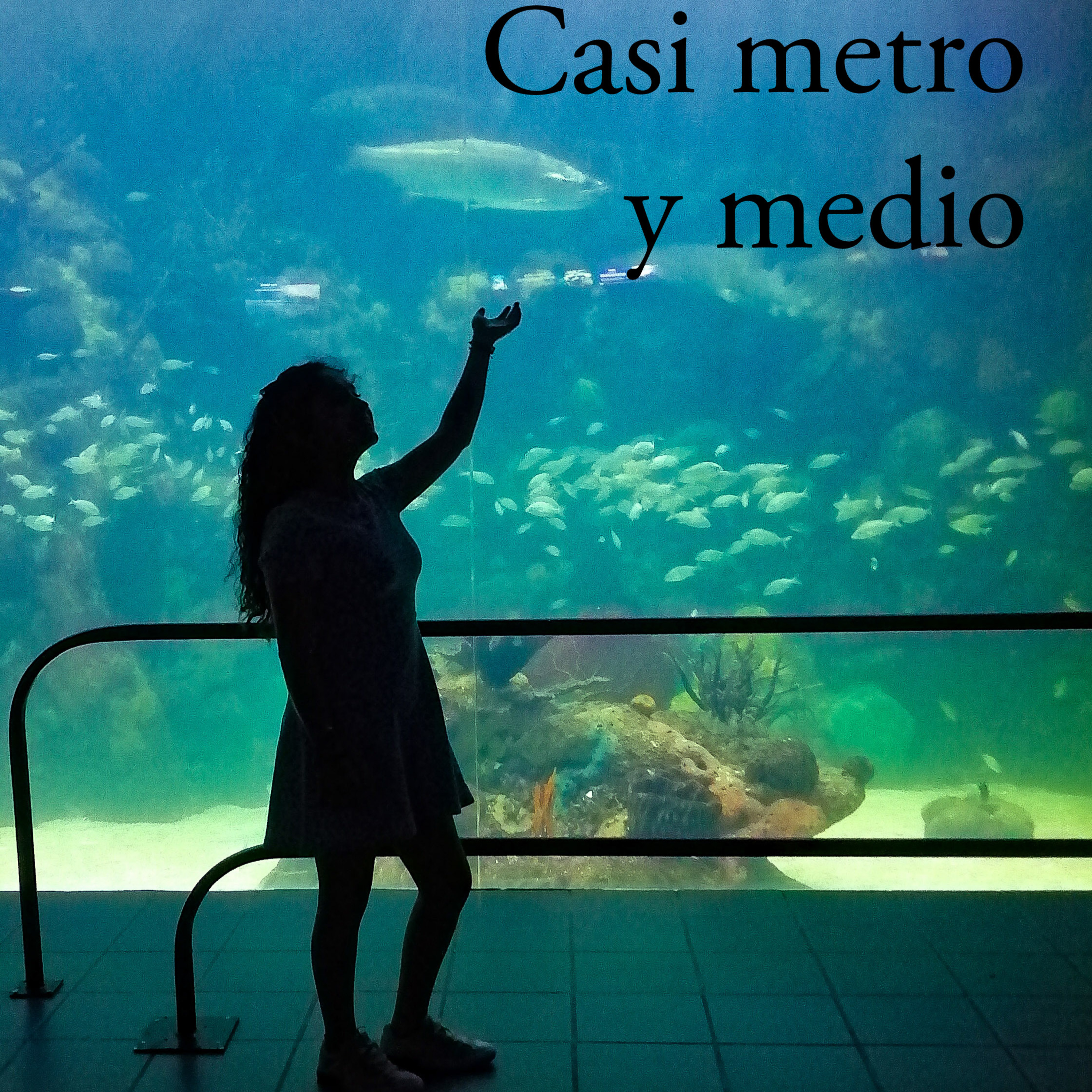Casi Metro y Medio