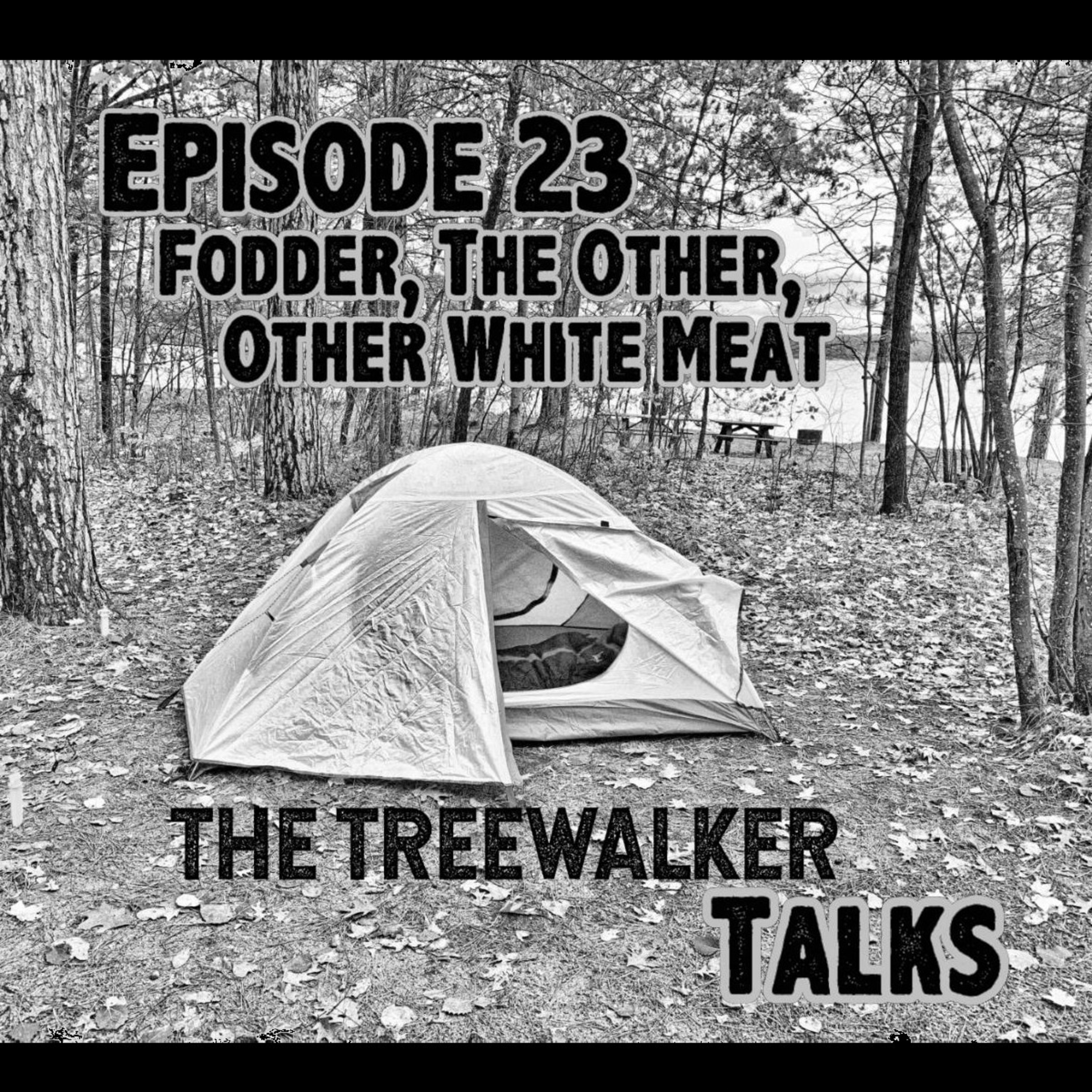 Treewalker Talks