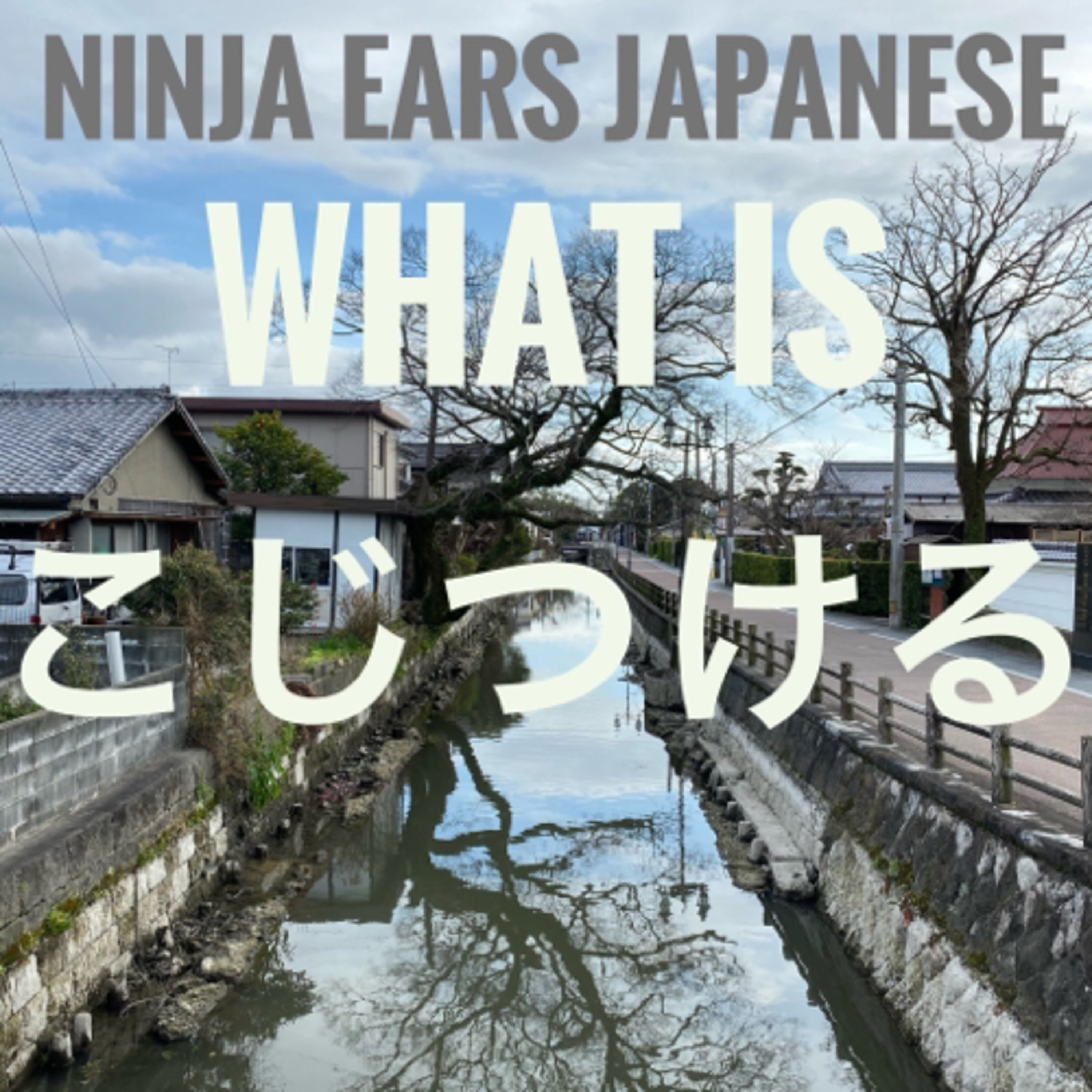 #2 WHAT IS こじつける
