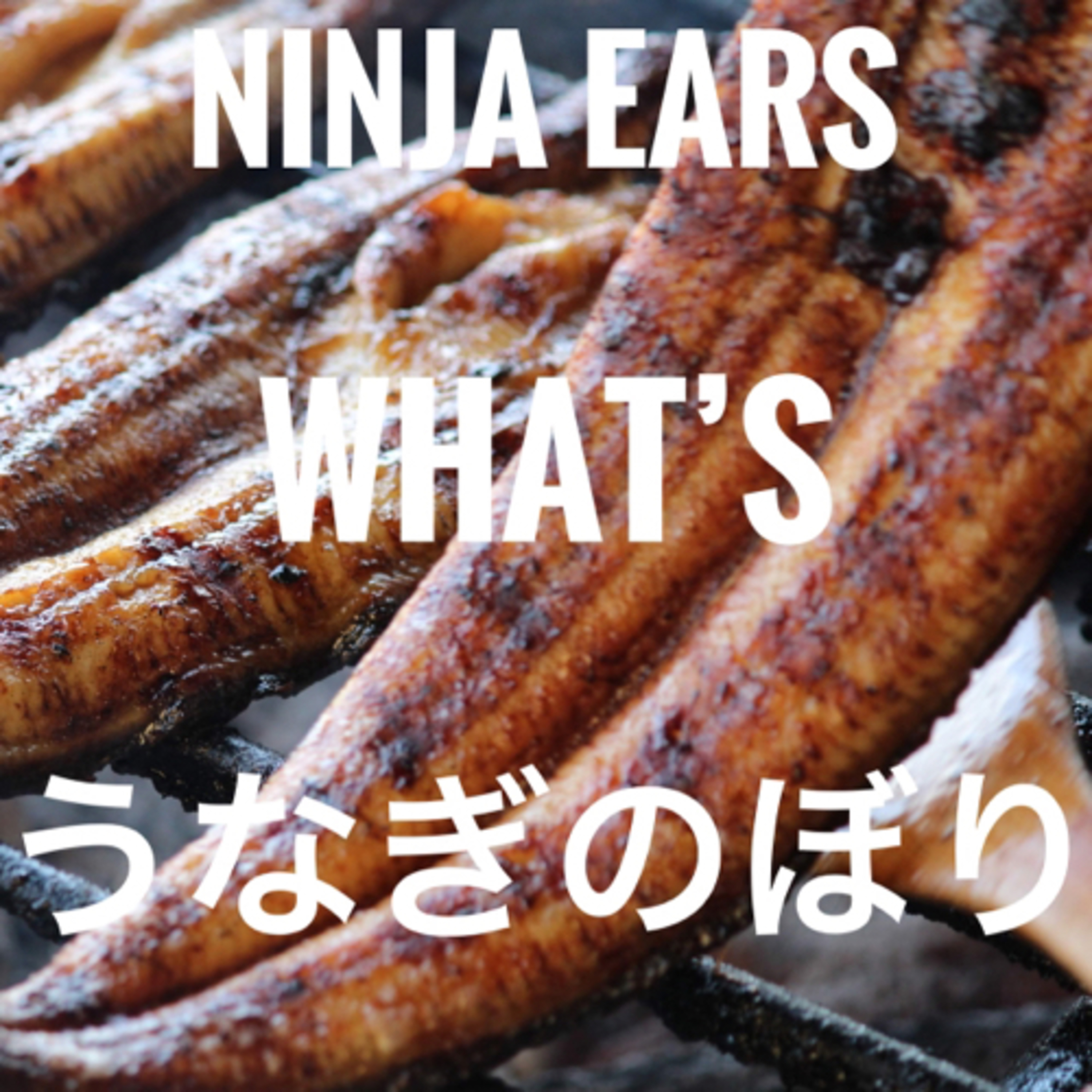 5mins Japanese- 「うなぎのぼり」とは?