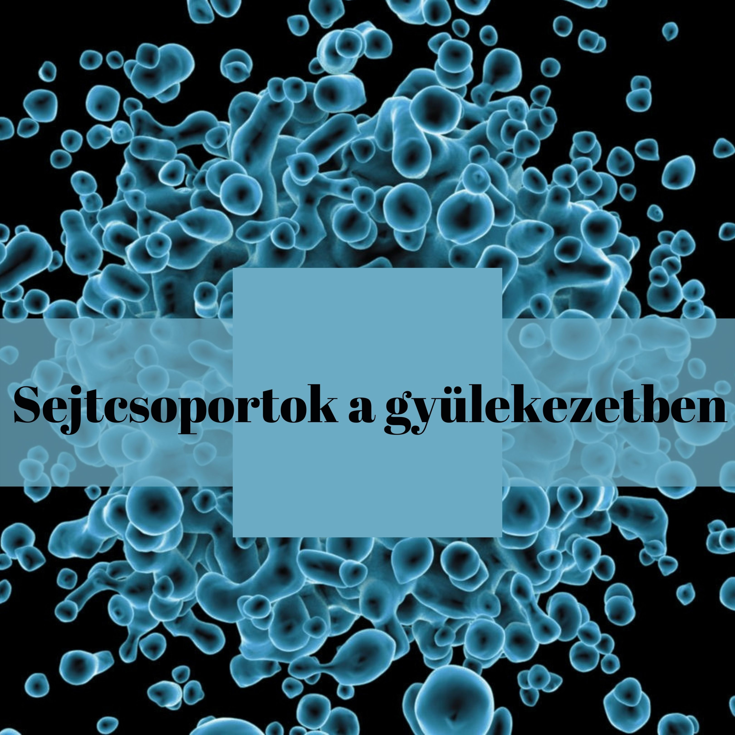 Roberto Bottrel: Sejtcsoportok a gyülekezetben konferencia III. kérdések és válaszok episode artwork