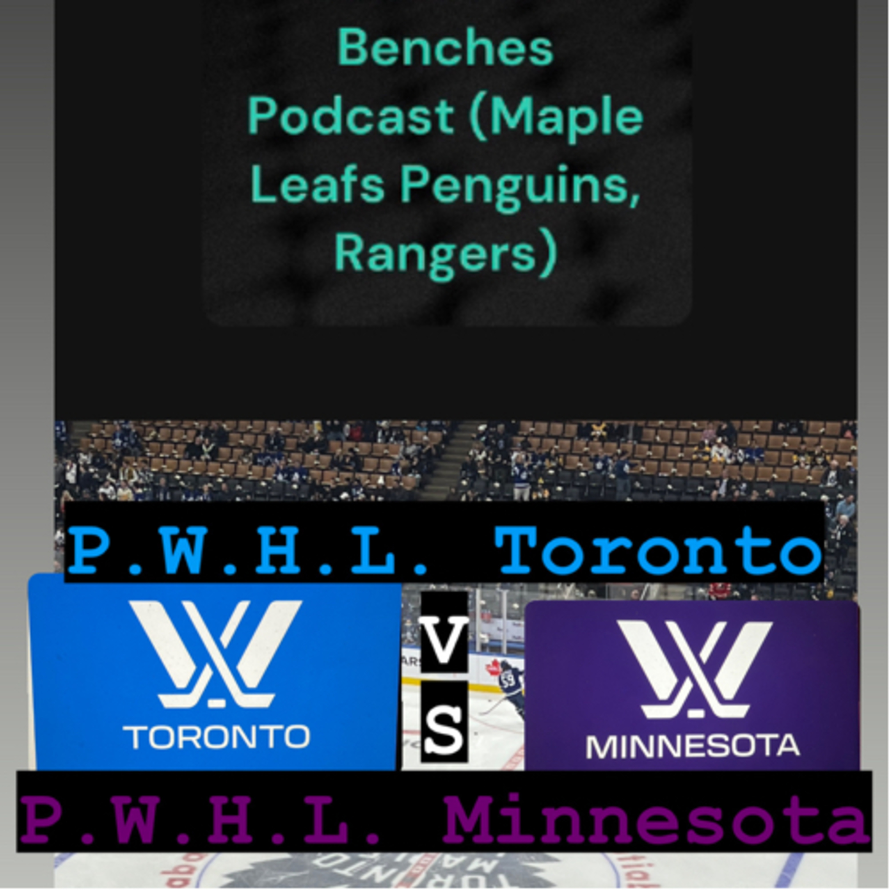 Let’s play Hockey together (PWHL Recap) “PWHL Toronto” Versus “PWHL Minnesota”
