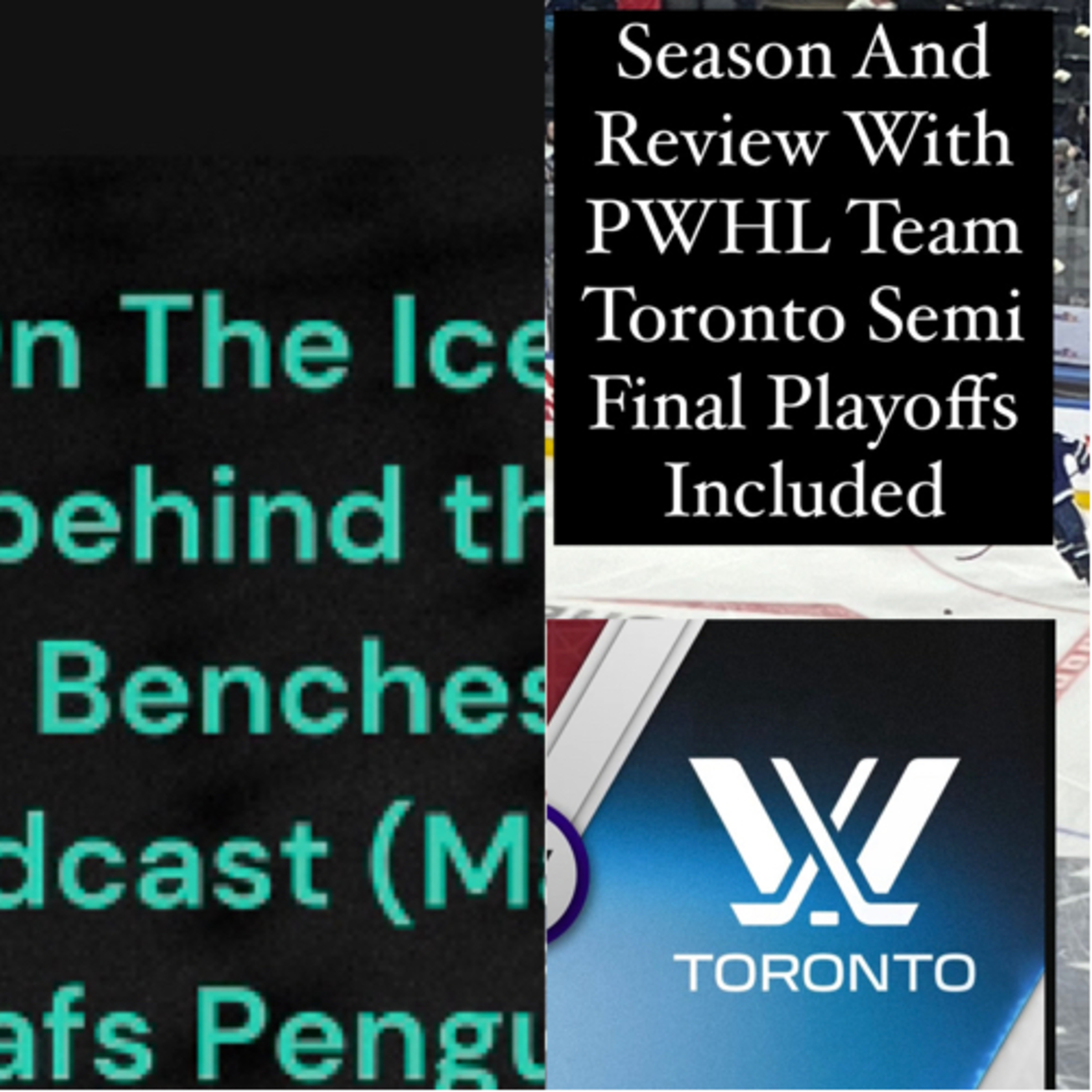 2024 PWHL Season in review Team Toronto including their Playoff shortened run