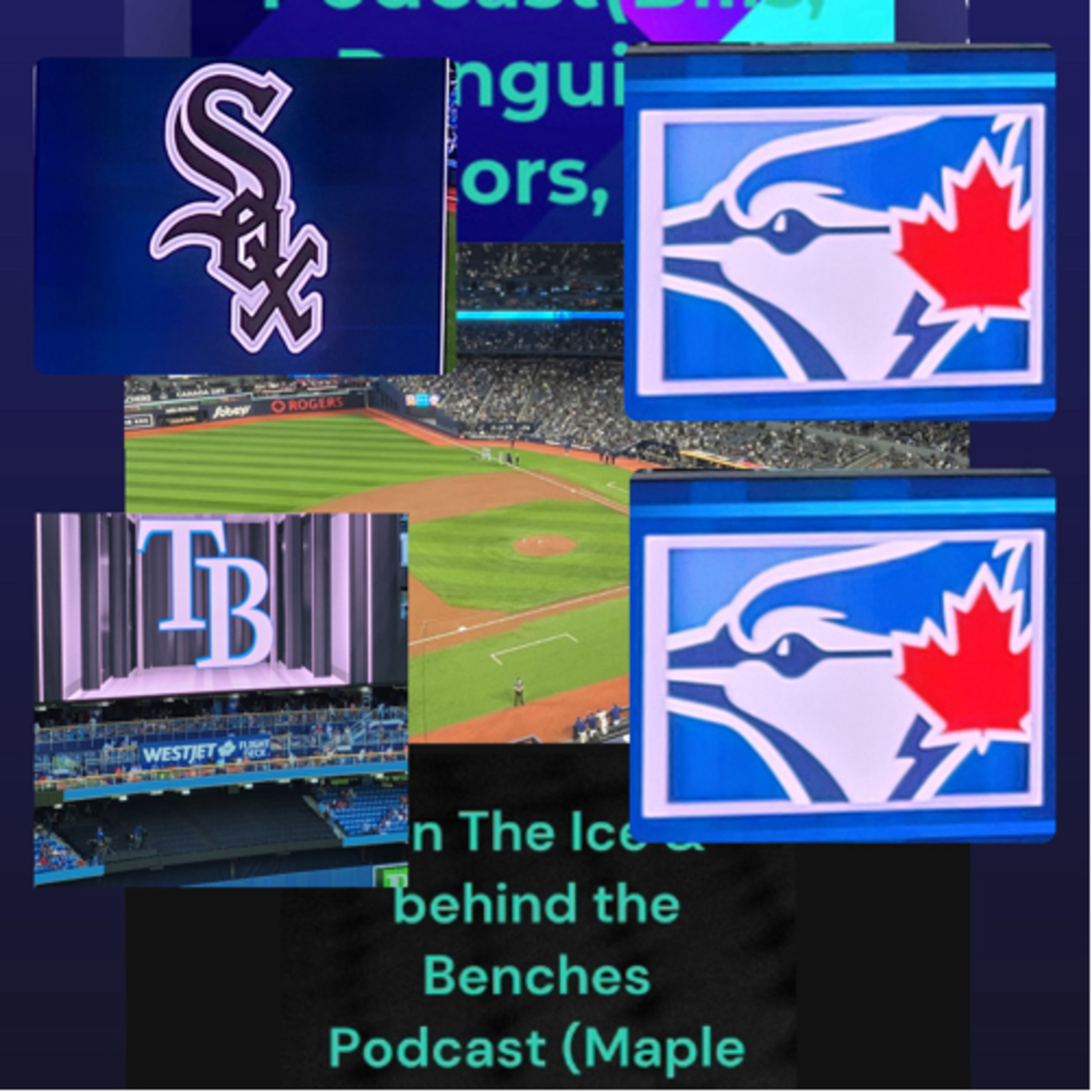 Blue Jays Game Recap “Home Stand to Forget or remember” (Blue Jays at Rays) & (Jays at white Sox’s)