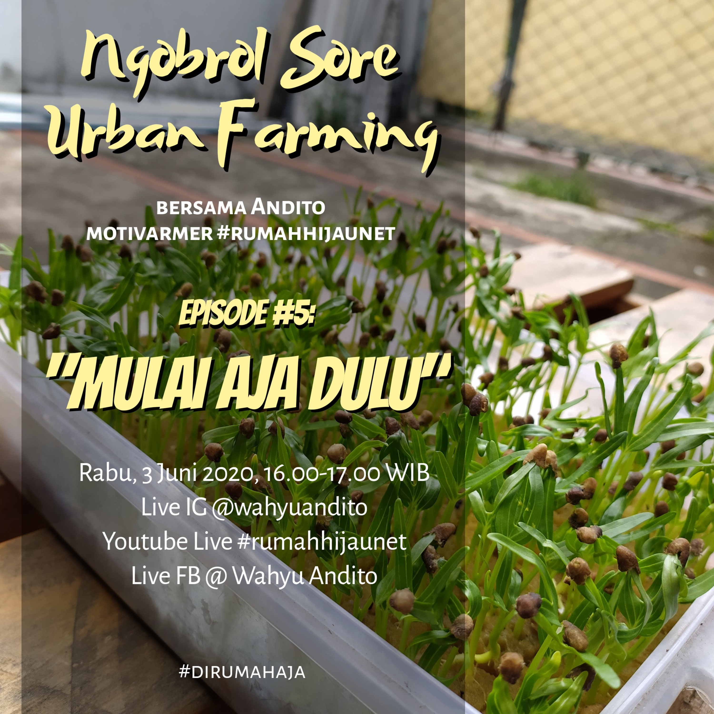 Ngobrol Sore Urban Farming