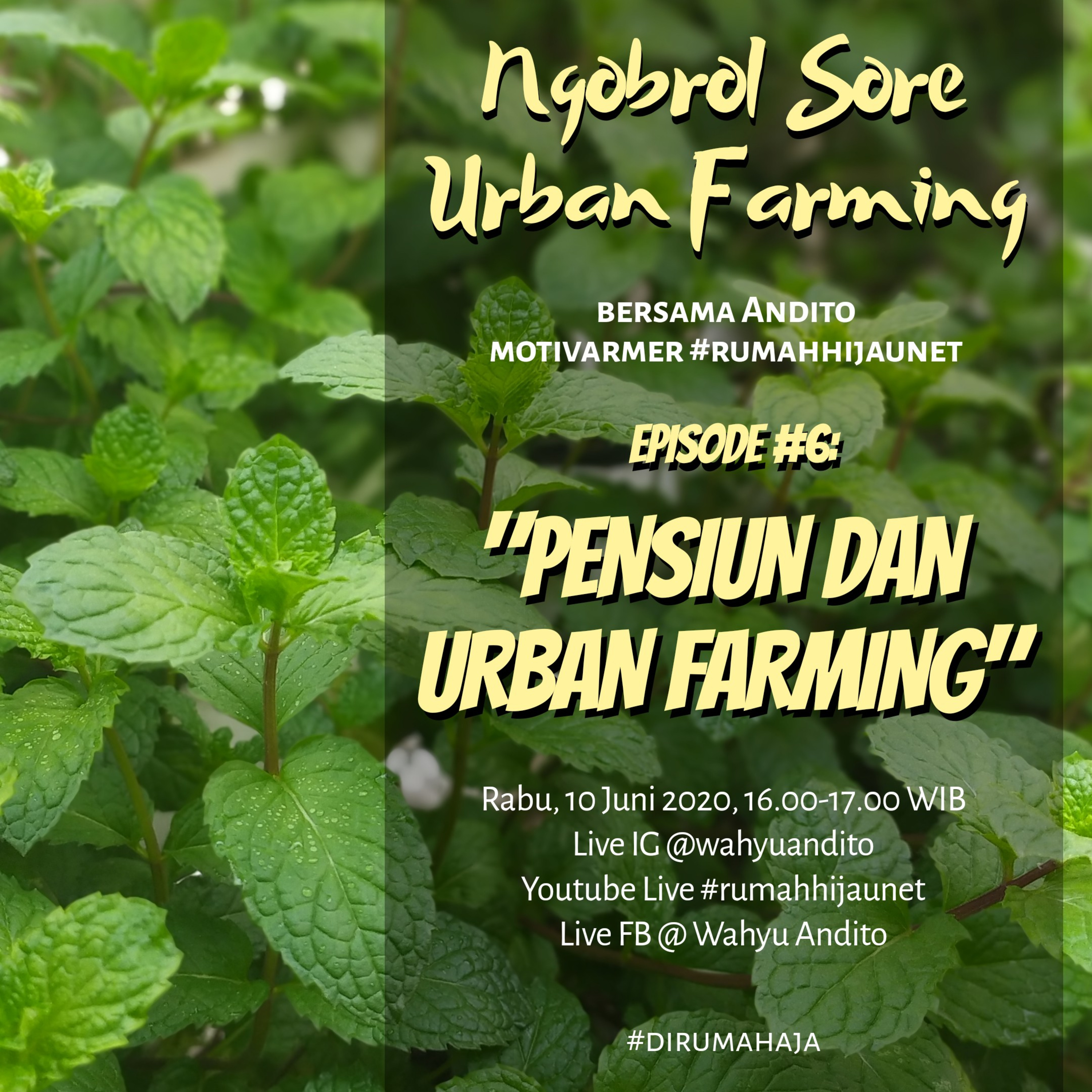 Ngobrol Sore Urban Farming