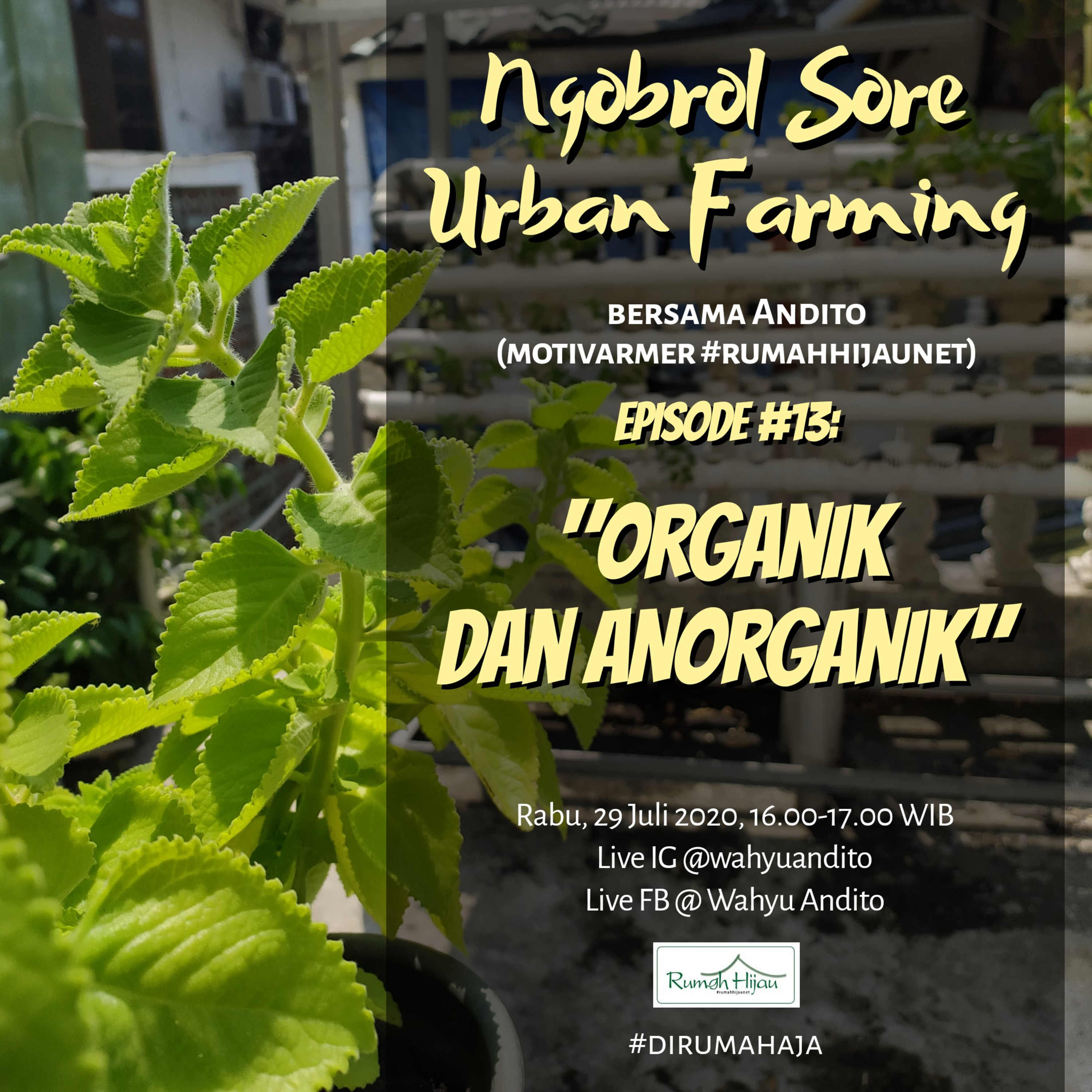 Ngobrol Sore Urban Farming