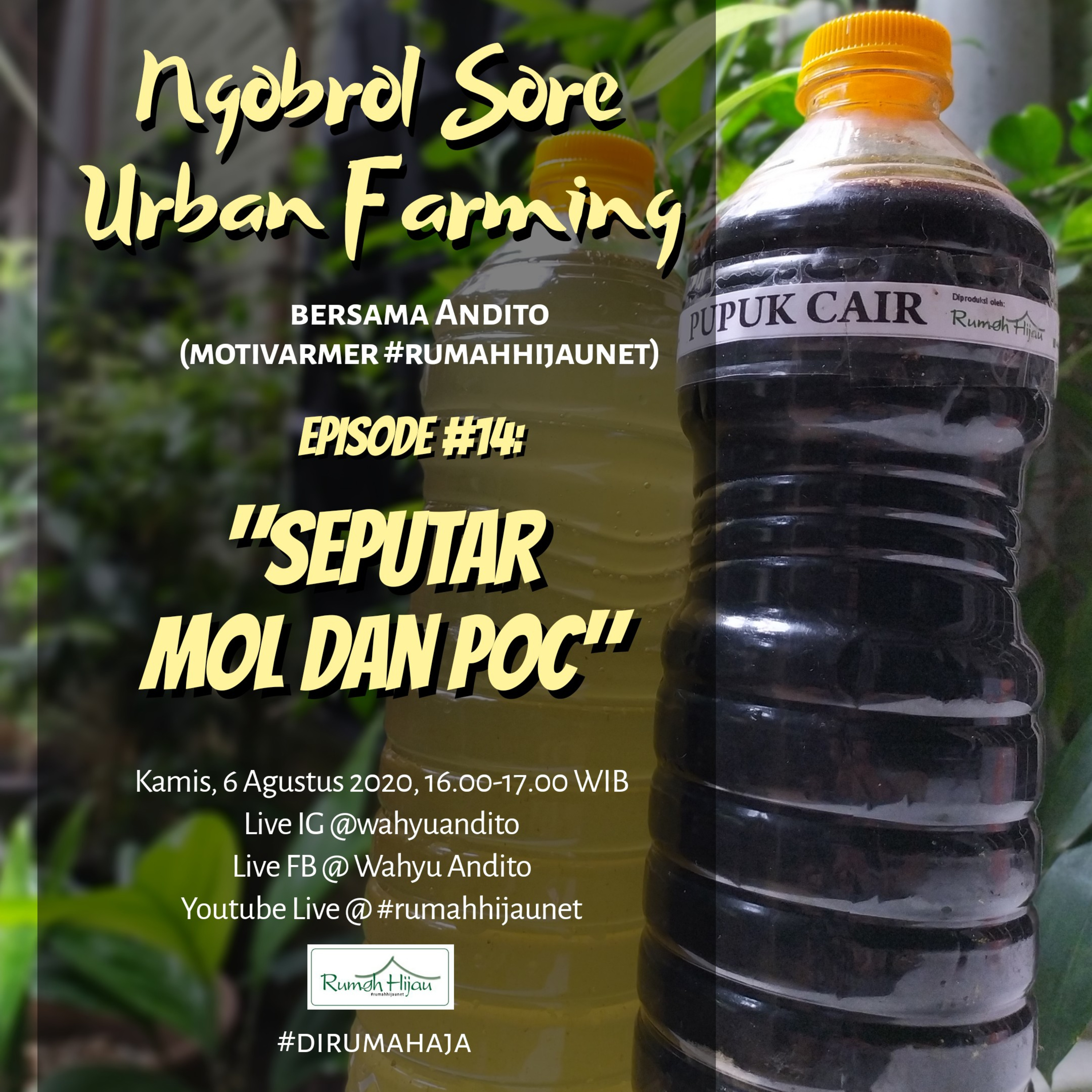 Ngobrol Sore Urban Farming