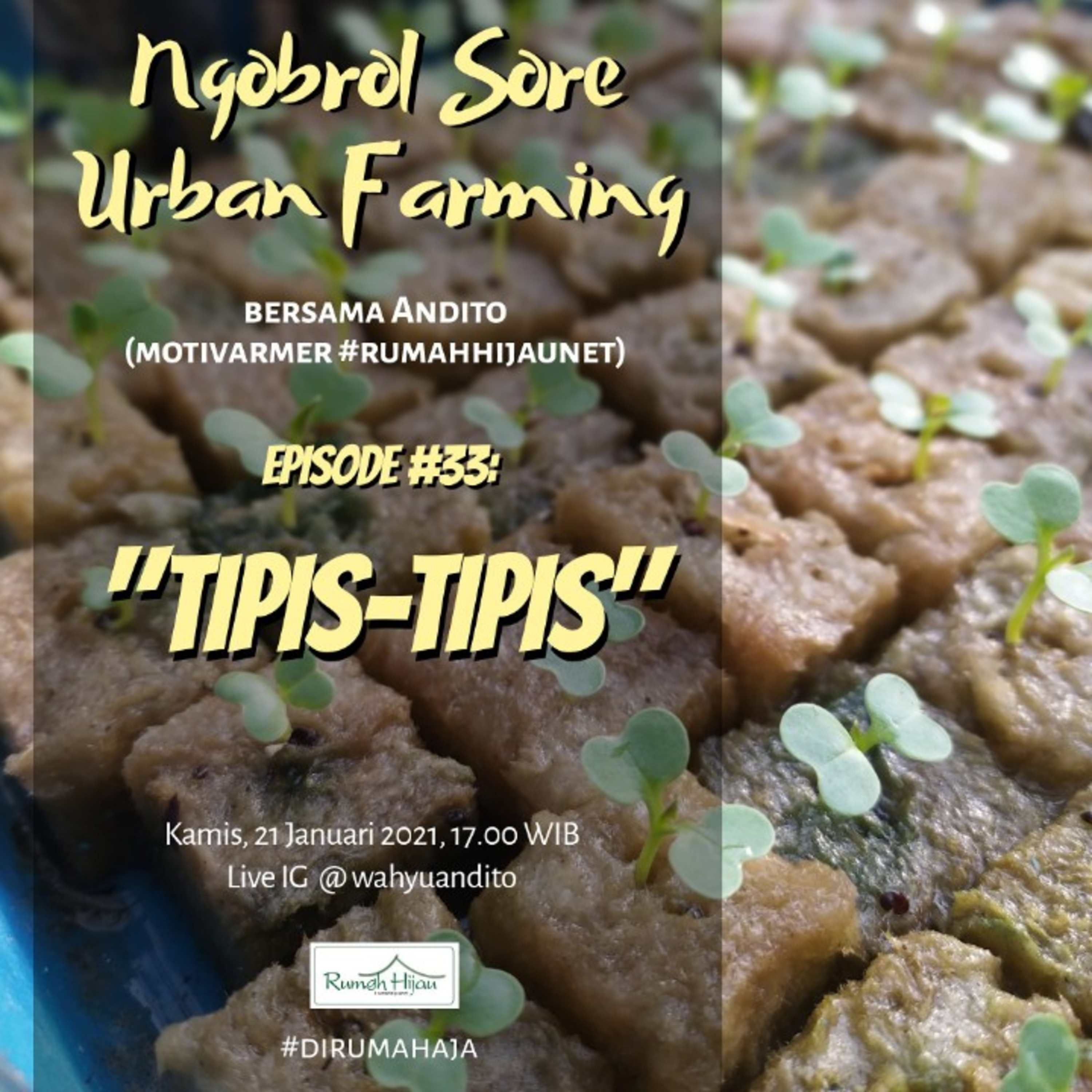 Ngobrol Sore Urban Farming
