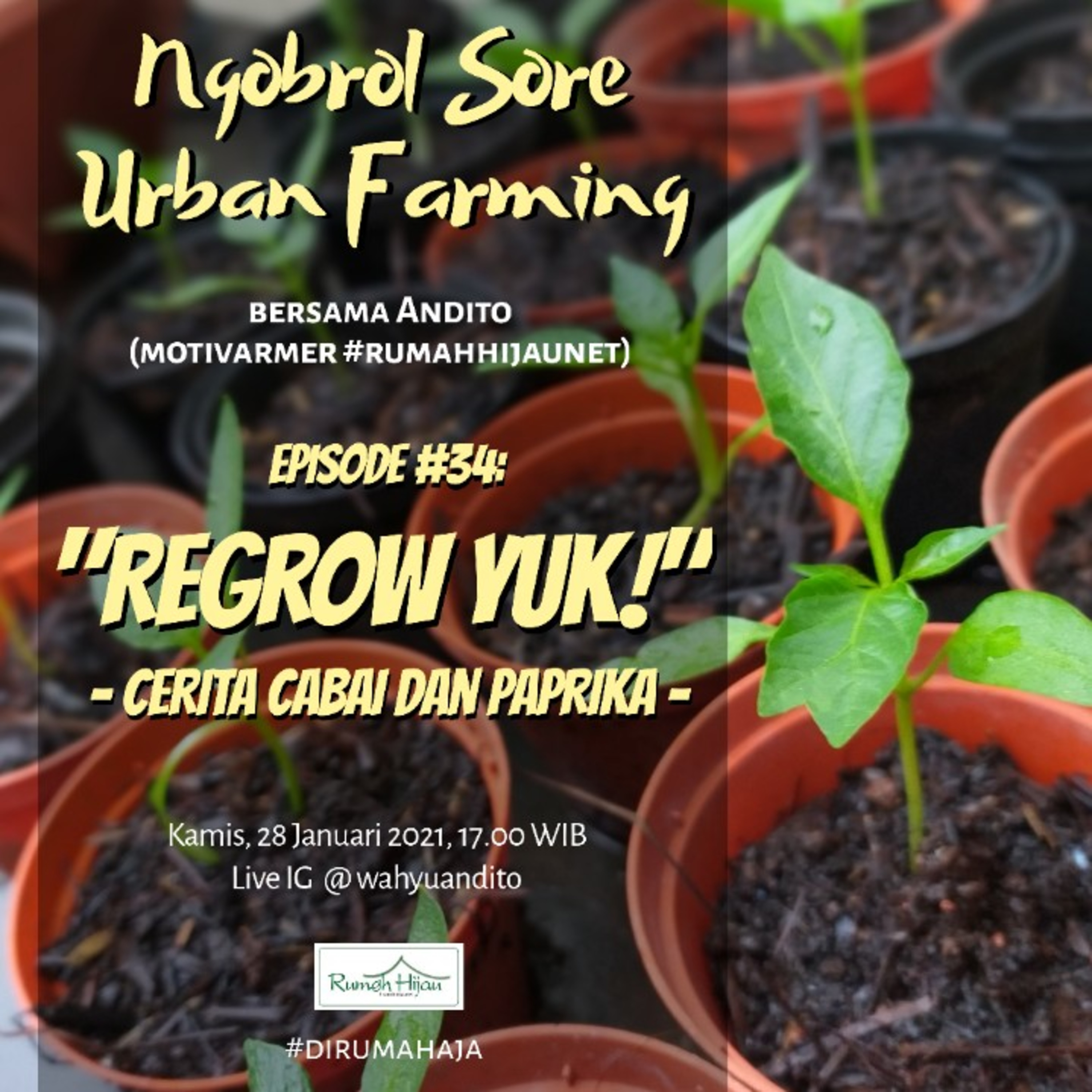 Ngobrol Sore Urban Farming