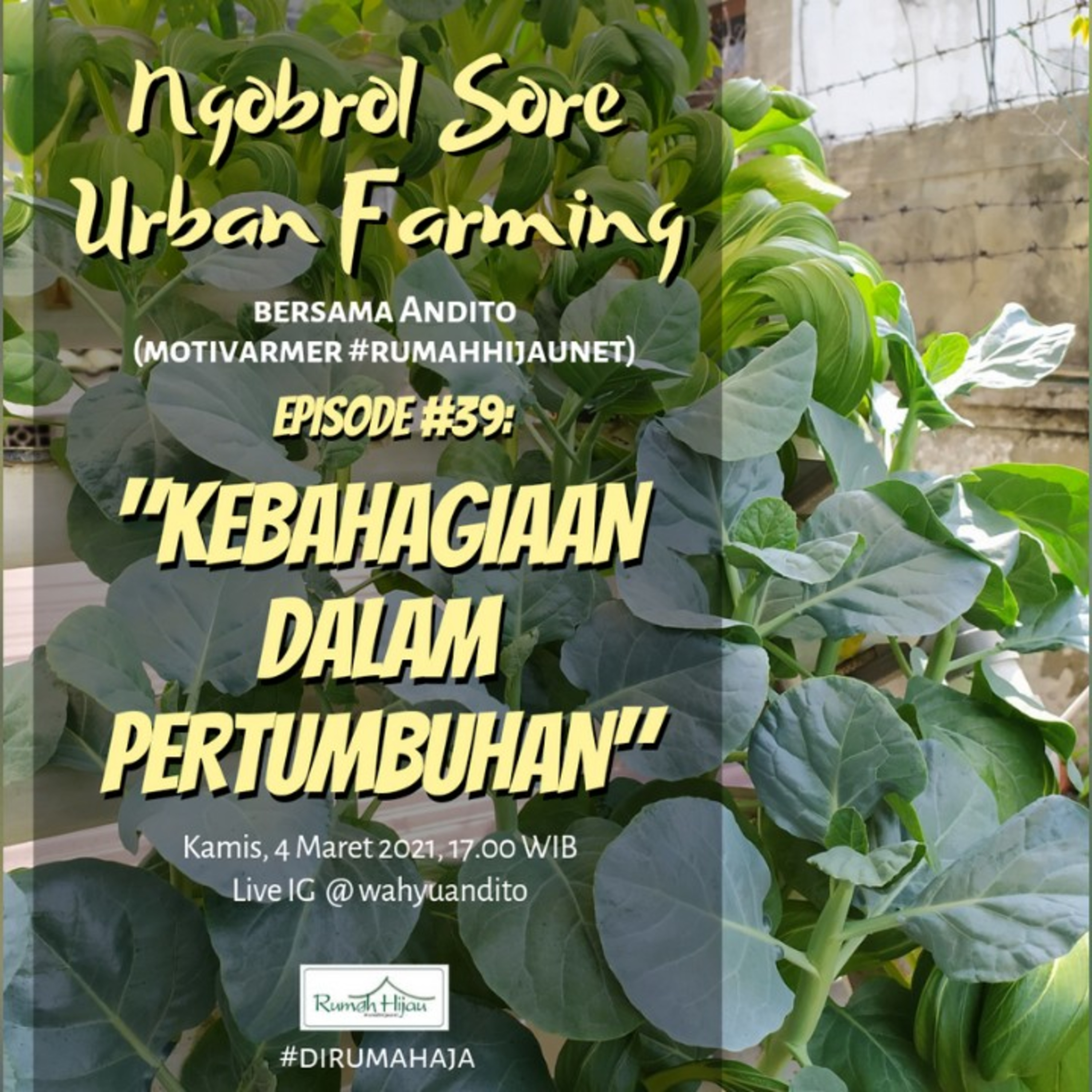 Ngobrol Sore Urban Farming