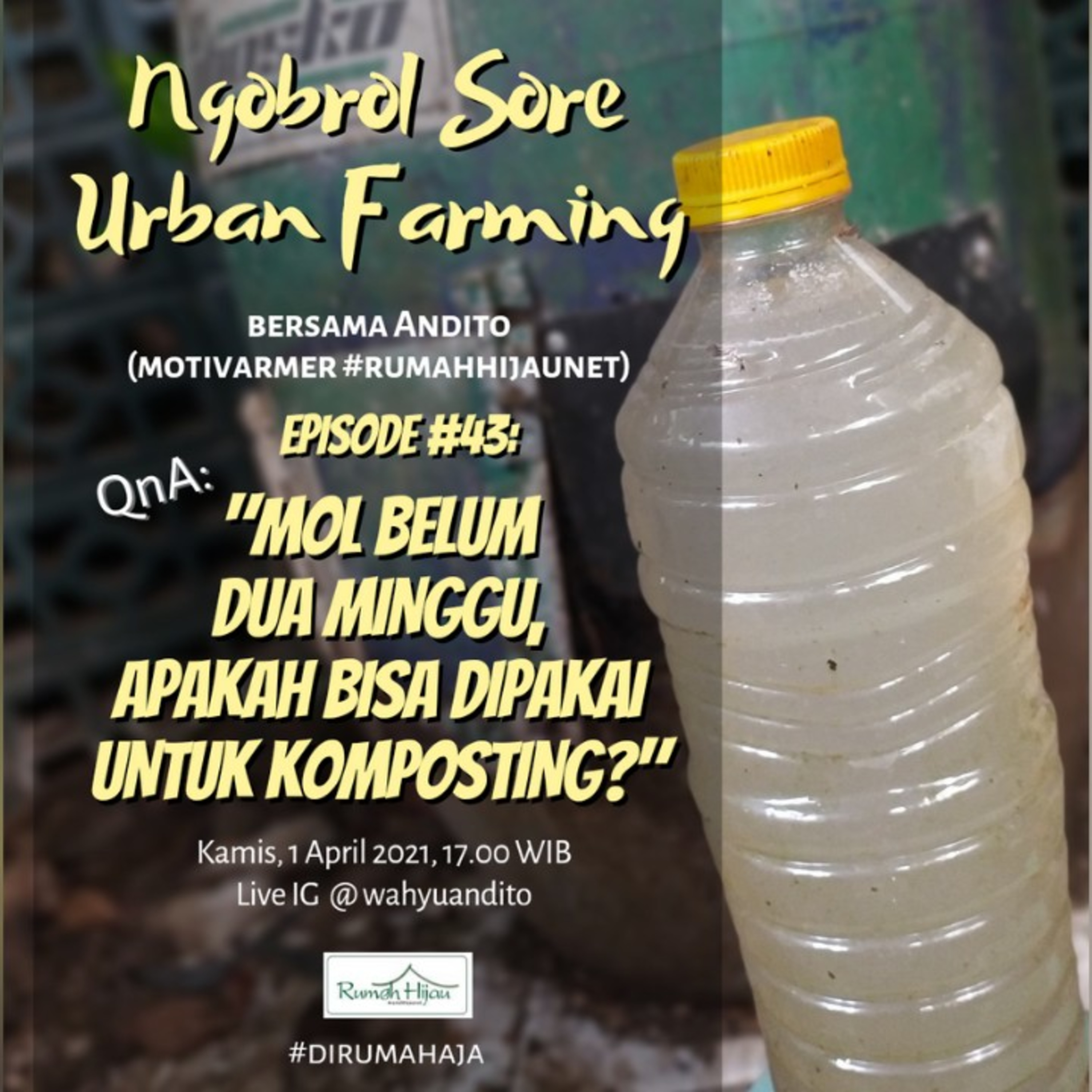 Ngobrol Sore Urban Farming