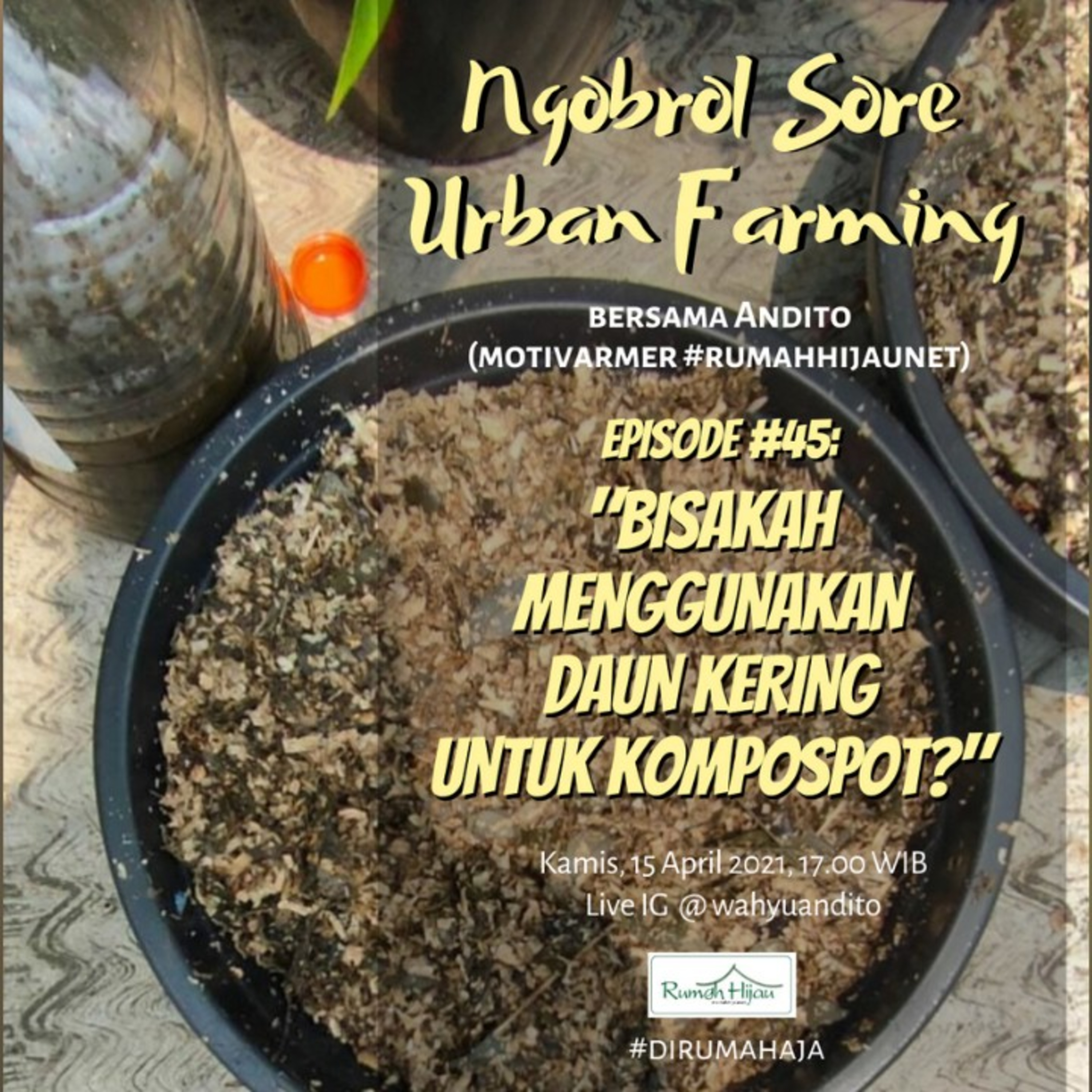 Ngobrol Sore Urban Farming