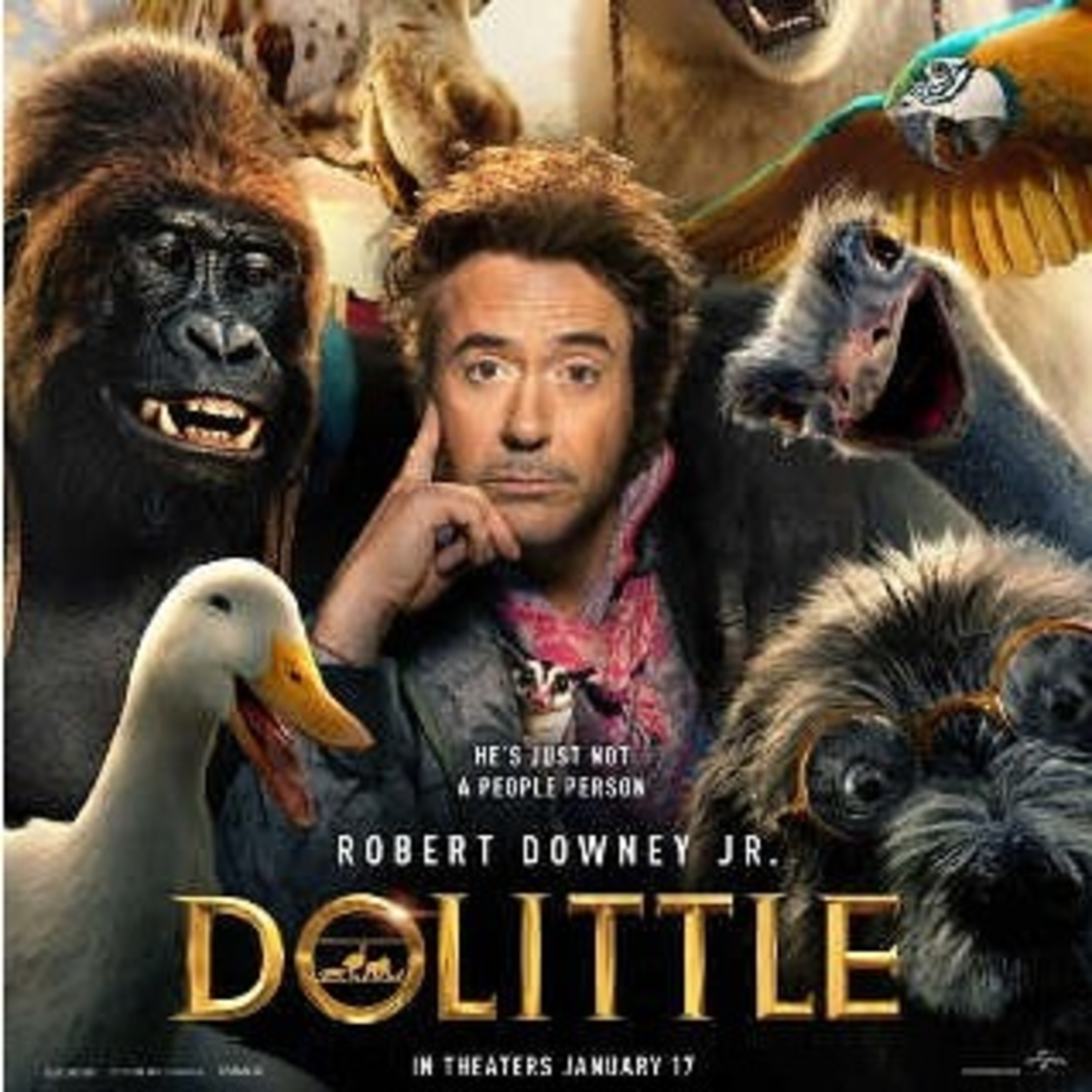 Foco Cinéfilo