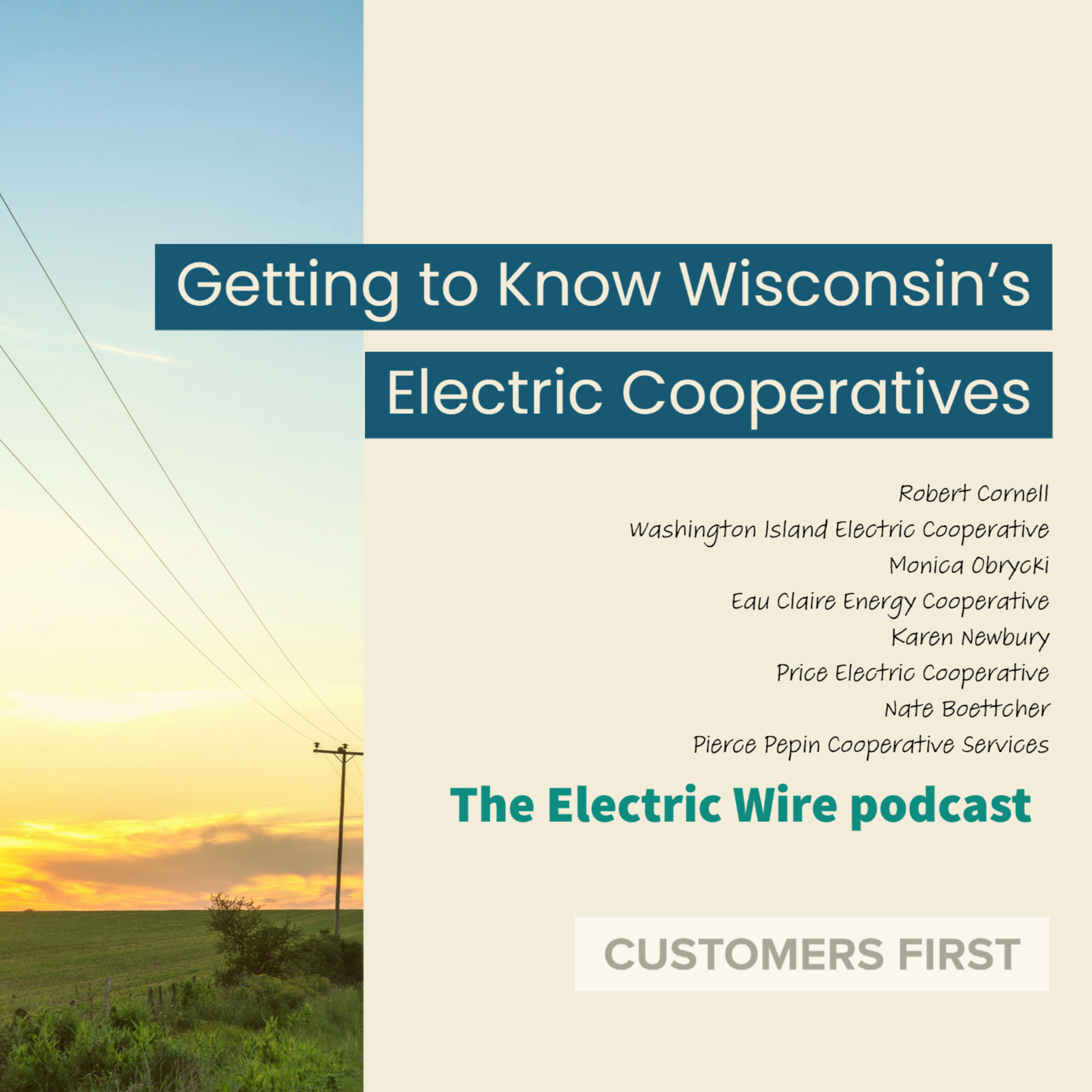 The Electric Wire