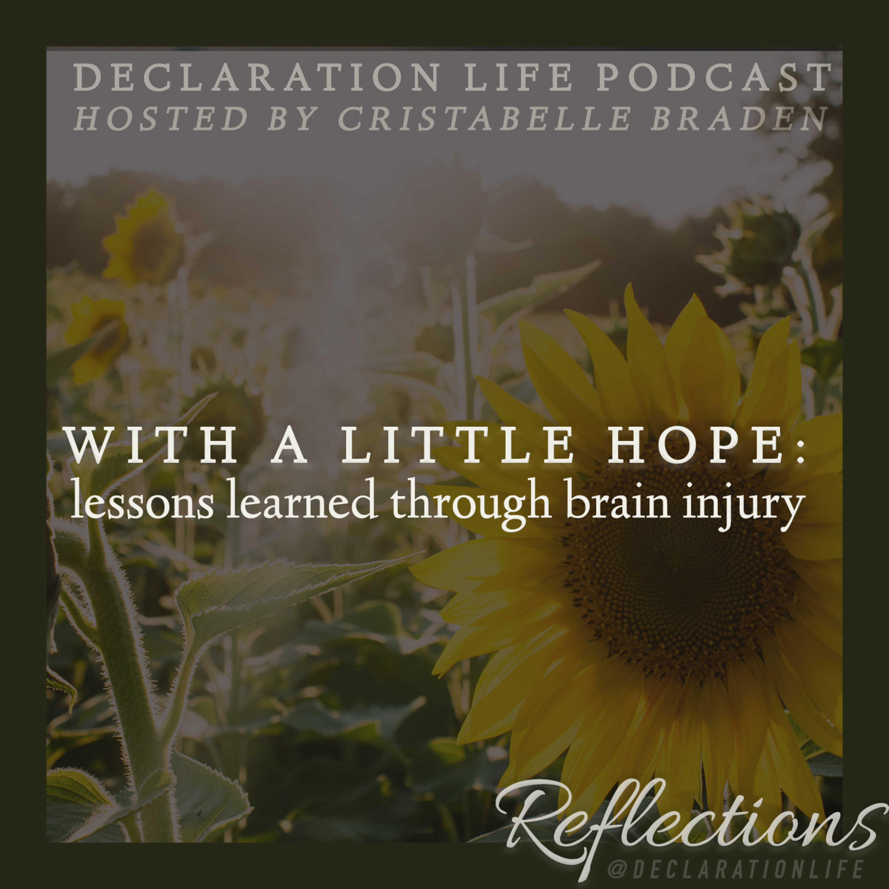 Declaration Life