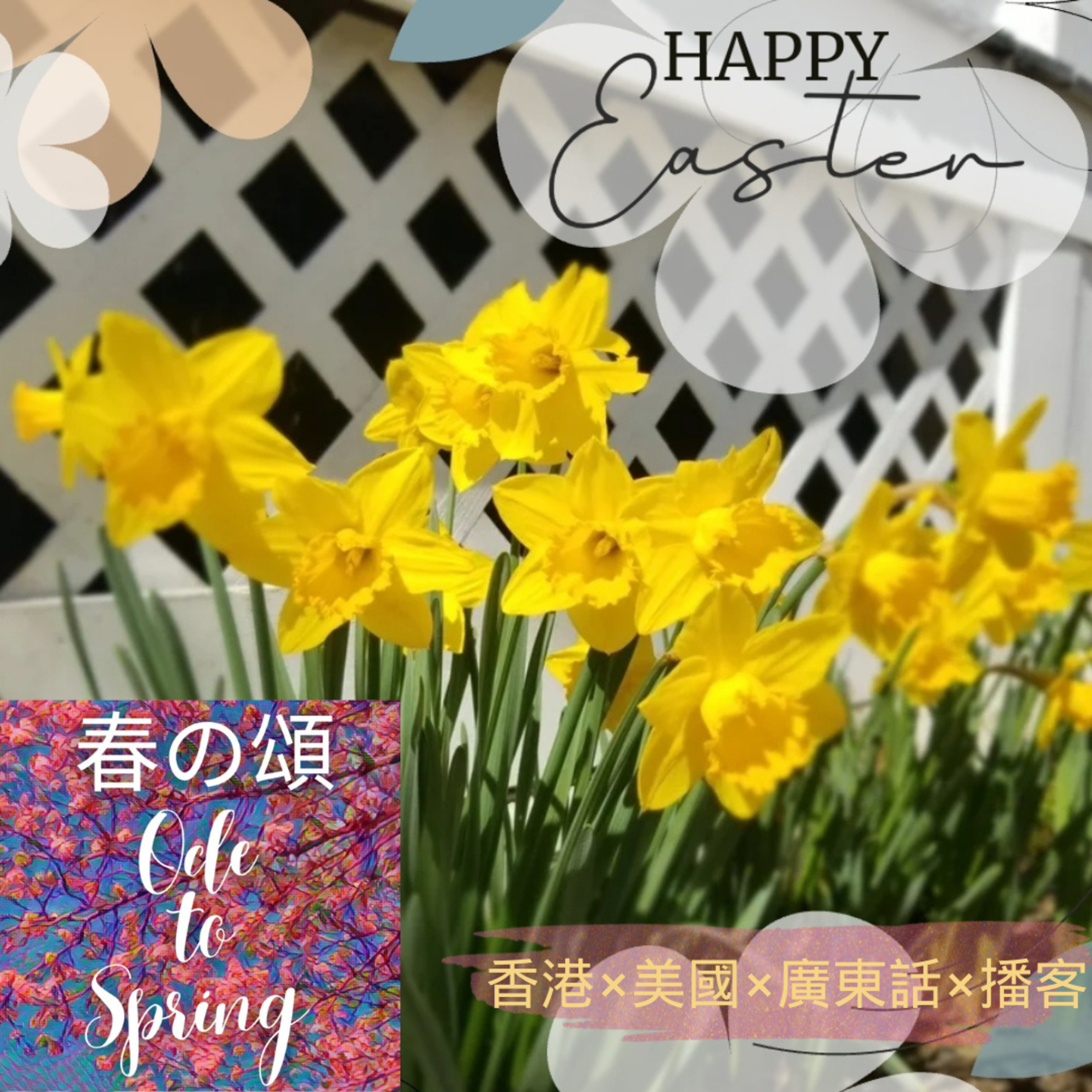 全髖關節置換術一個月後過復活節 1 Month after Total Hip Replacement Celebrating Easter episode artwork
