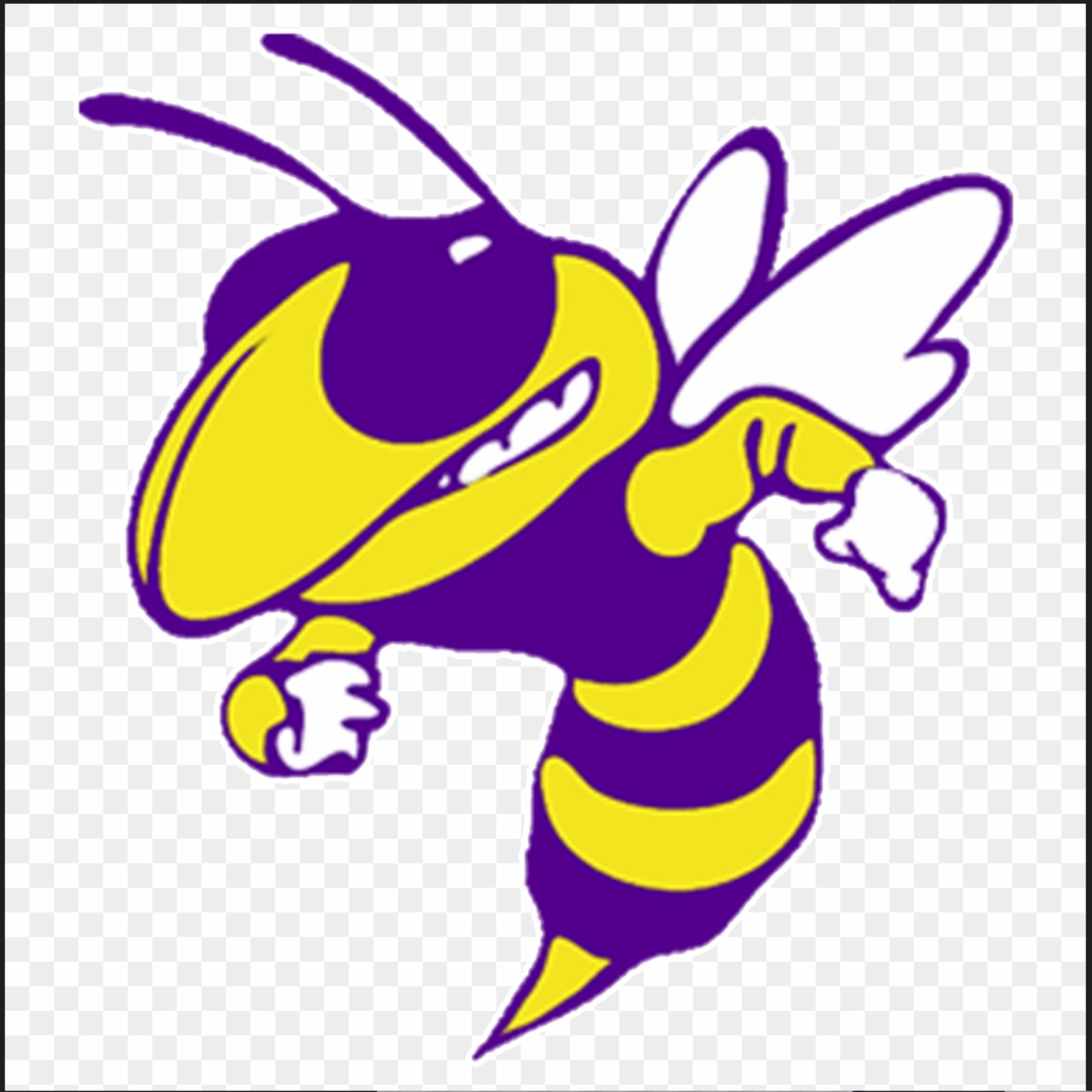 Hornet Buzz