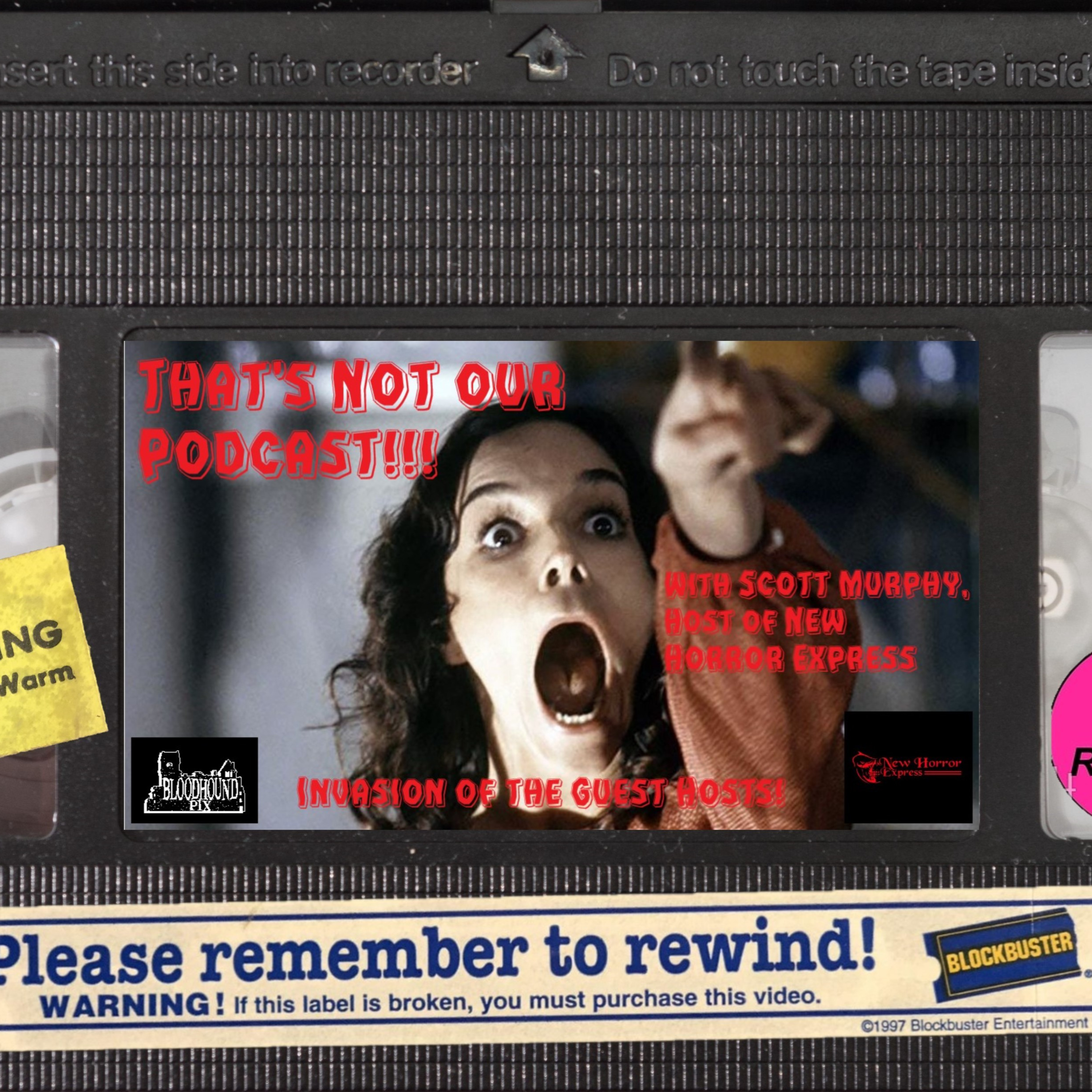 Bloodhound Pix Podcast