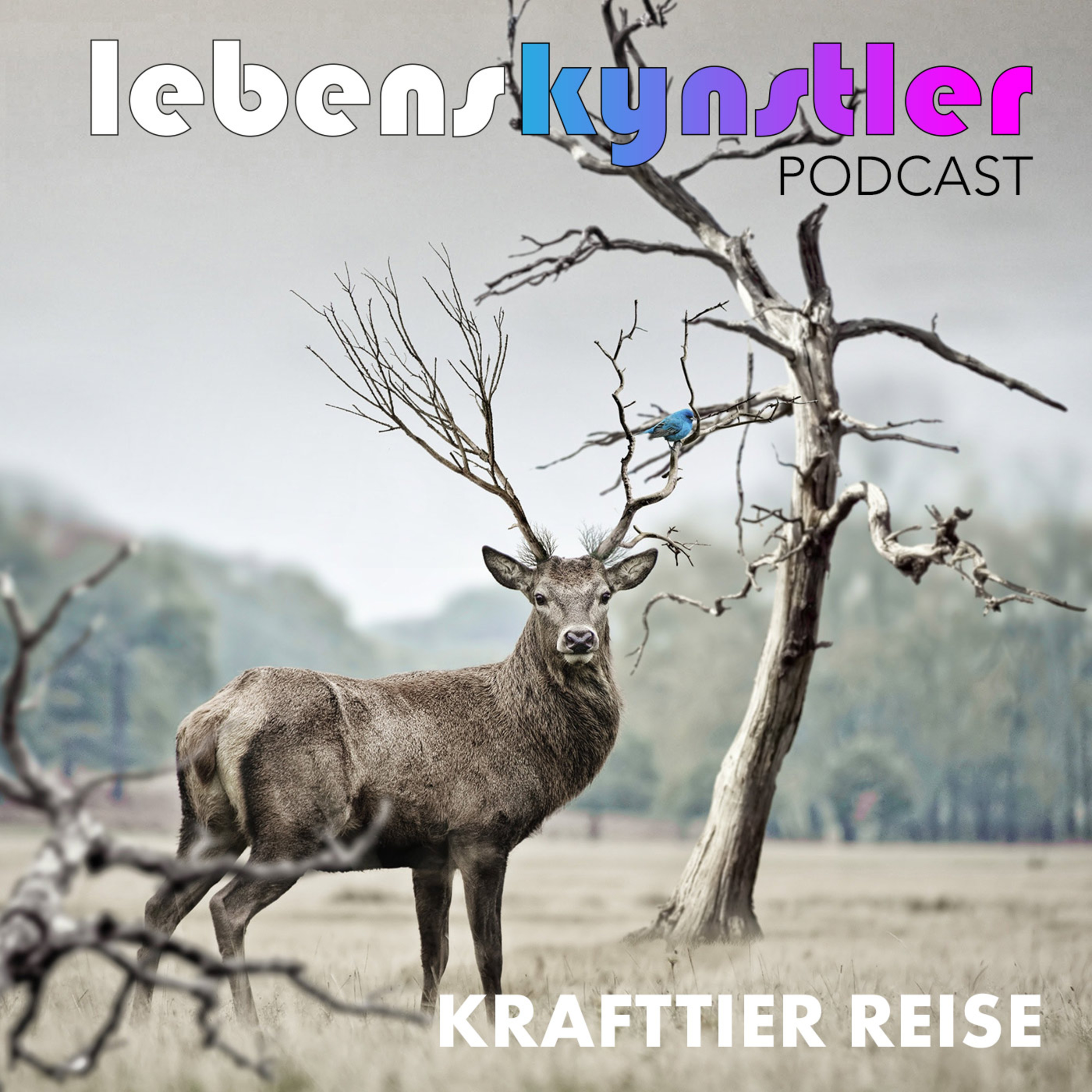 Lebenskynstler - Mindstyle Audio Magazin