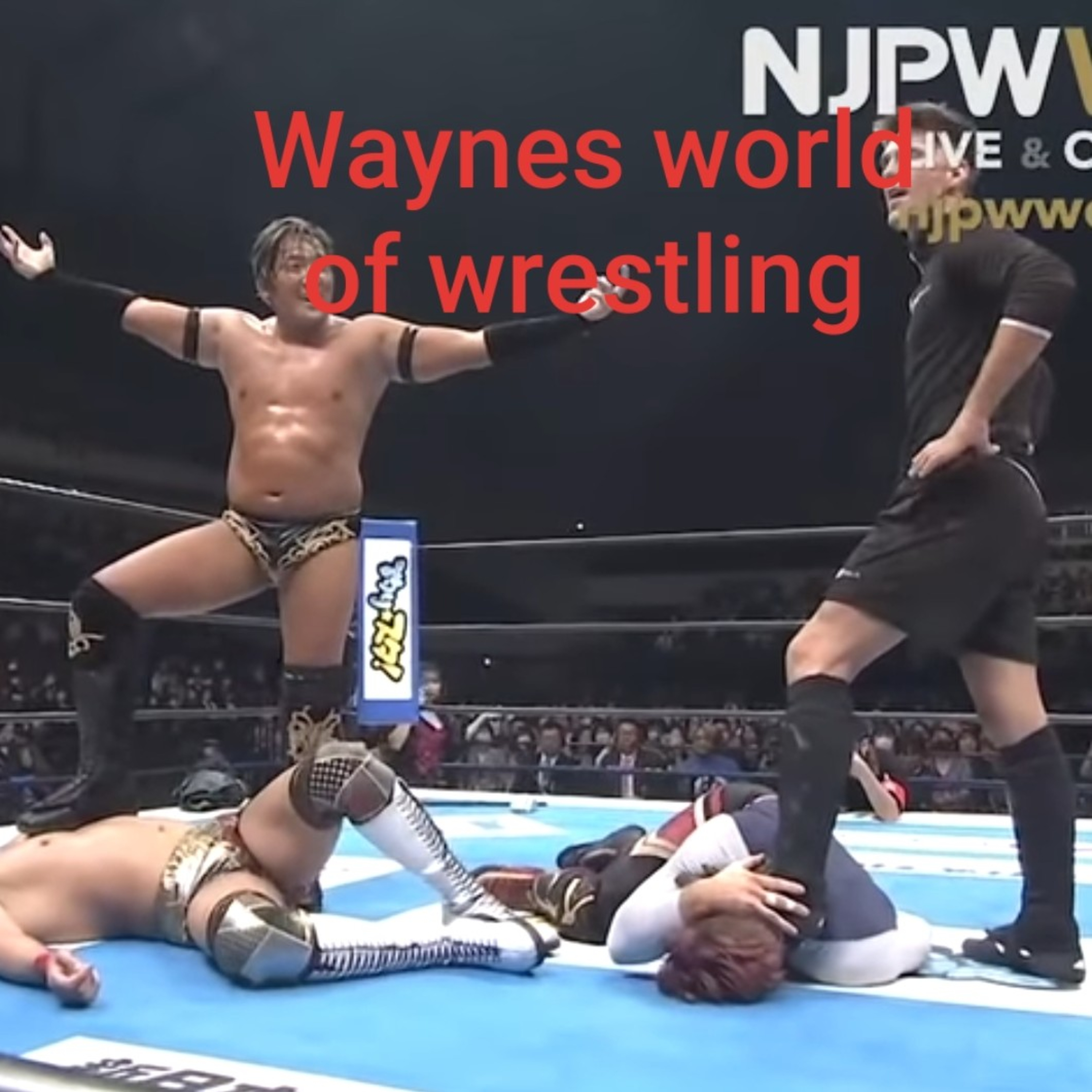 Wayne\'s World Of Wrestling