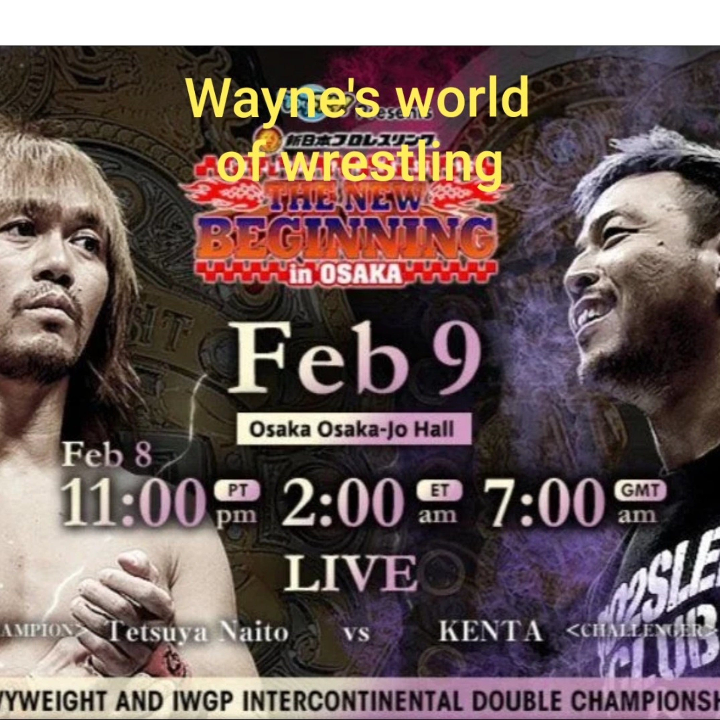 Wayne\'s World Of Wrestling